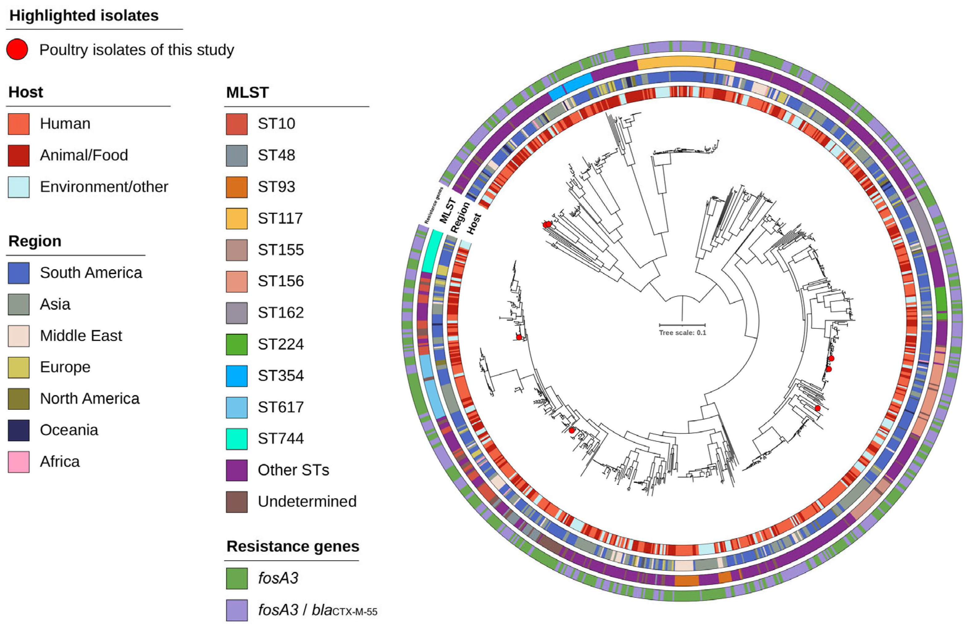 Antibiotics 14 00269 g003 Antibiotics 14 00269 g003