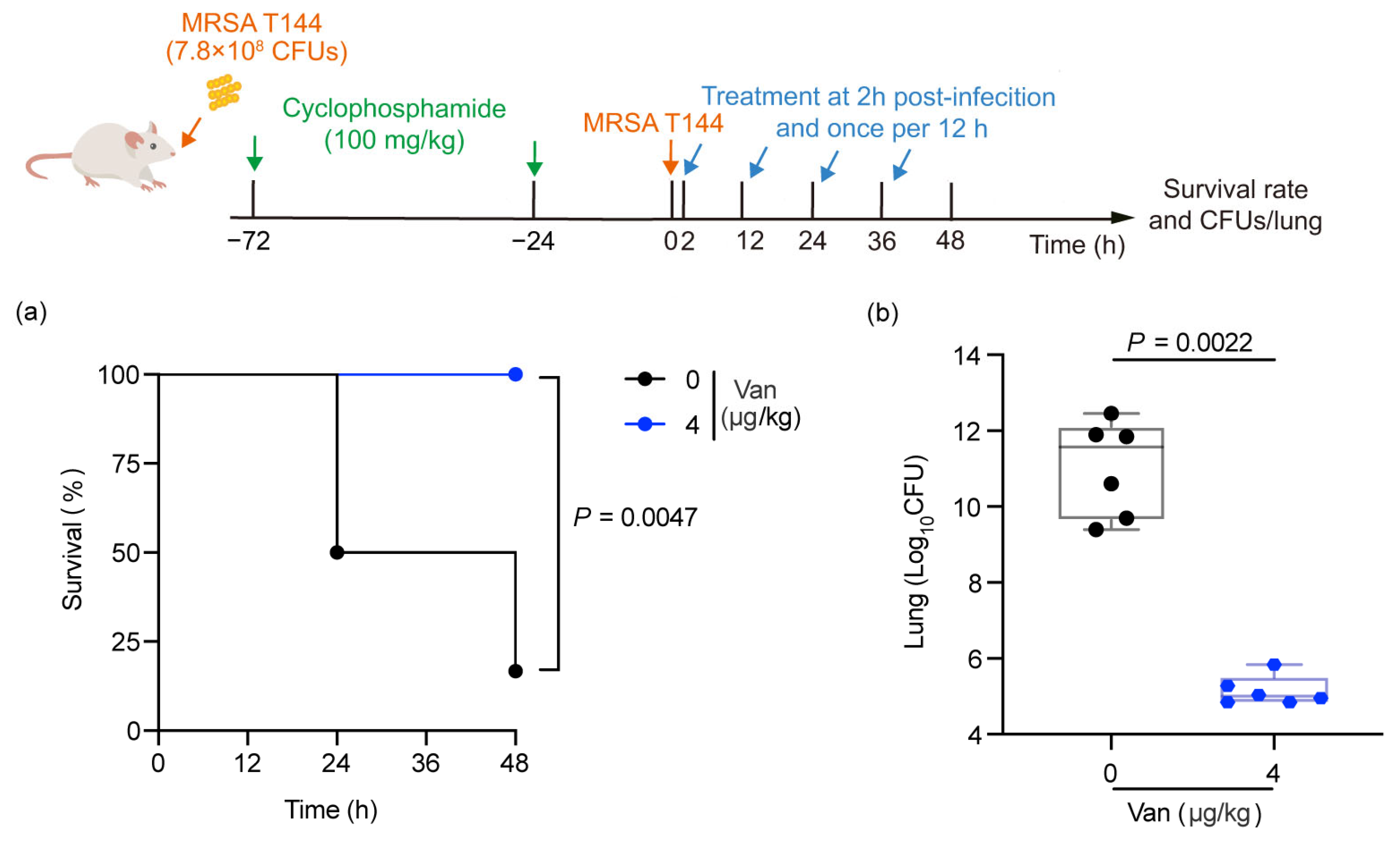 Antibiotics 14 00270 g005