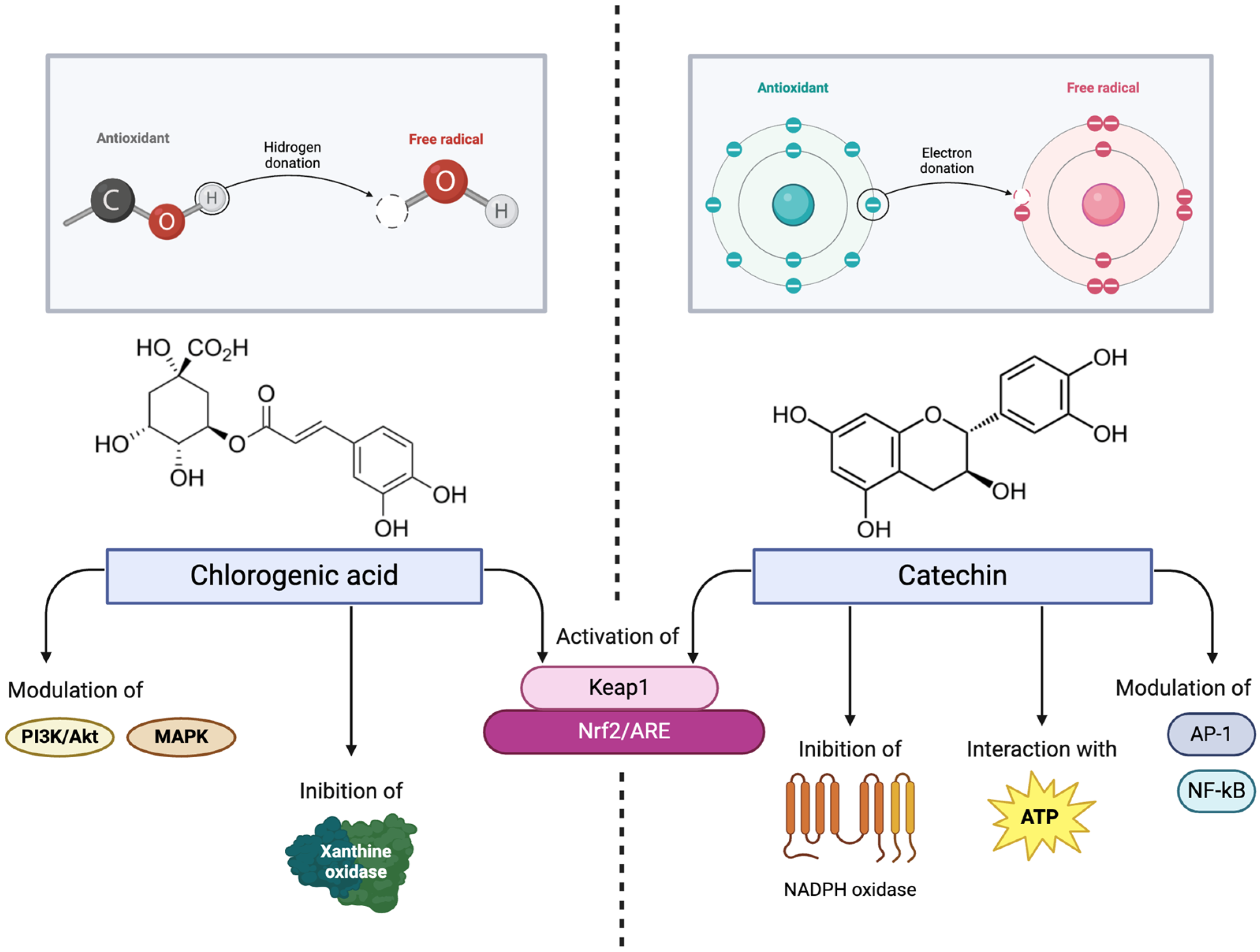 Antibiotics 14 00280 g001