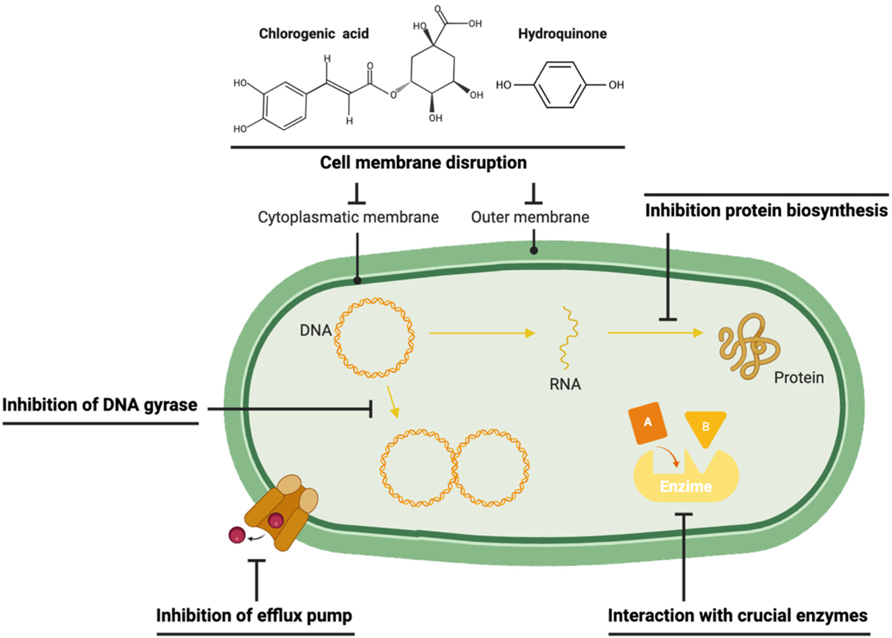 Antibiotics 14 00280 g002