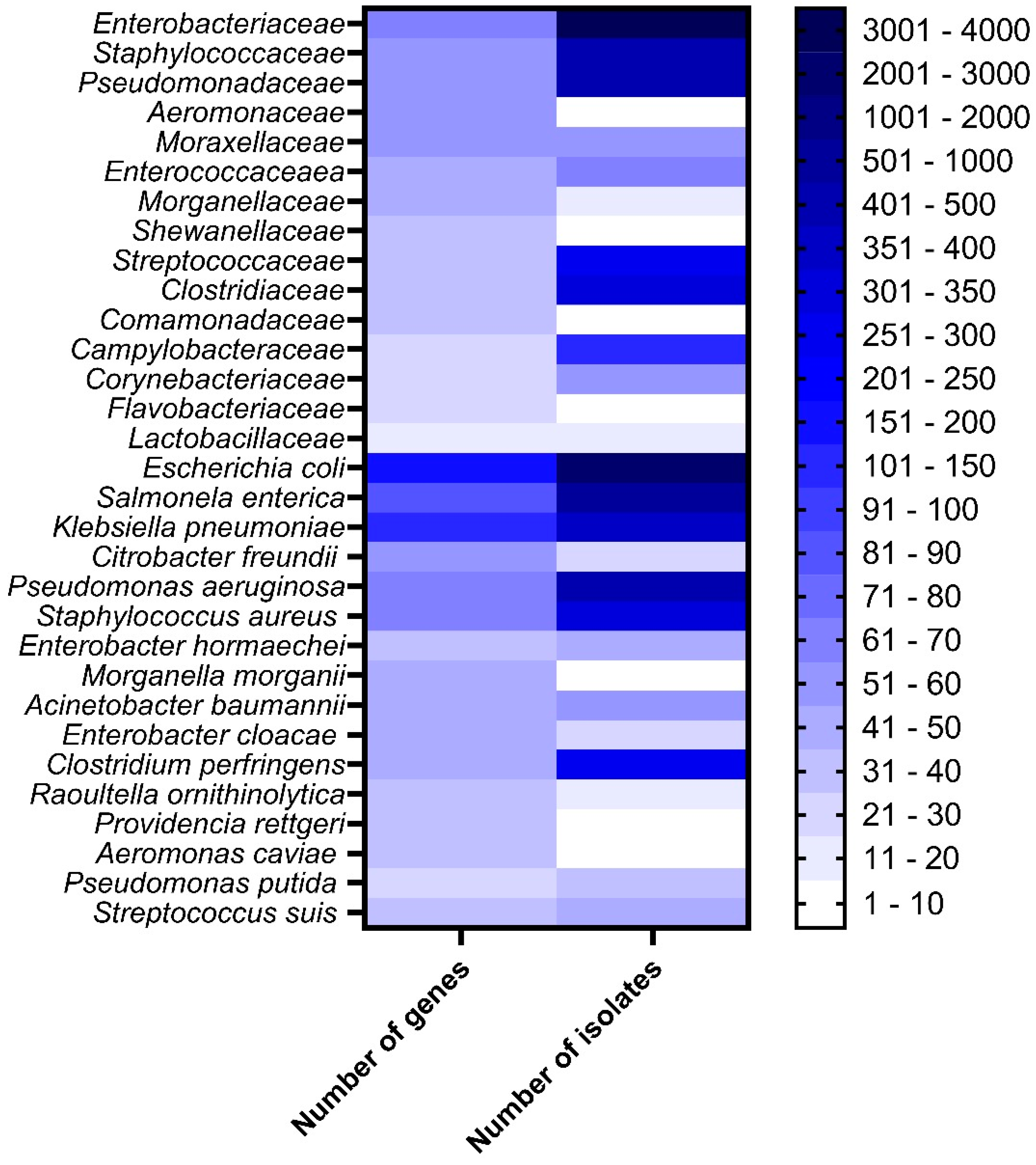 Antibiotics 14 00281 g006