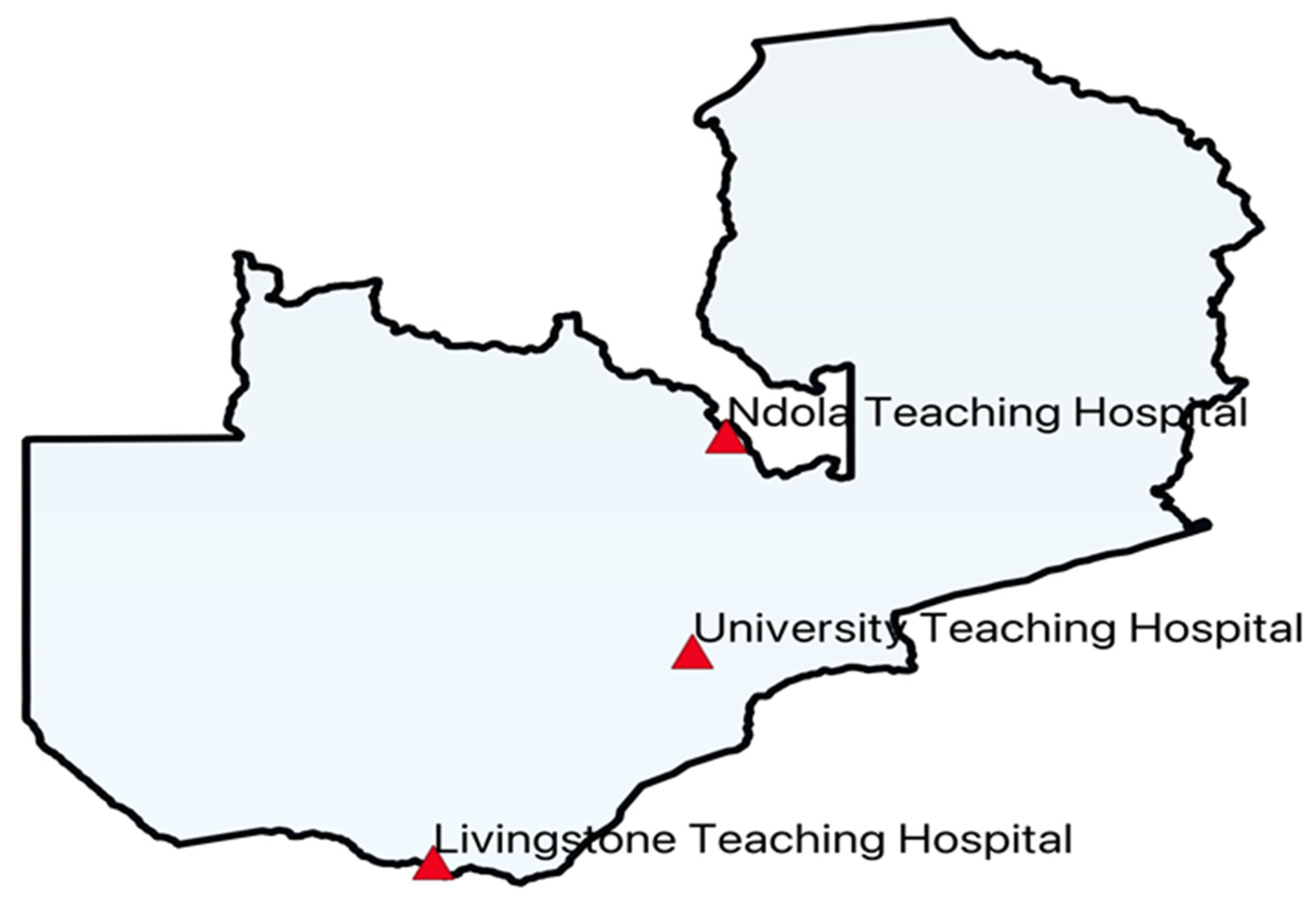 Antibiotics 14 00284 g004