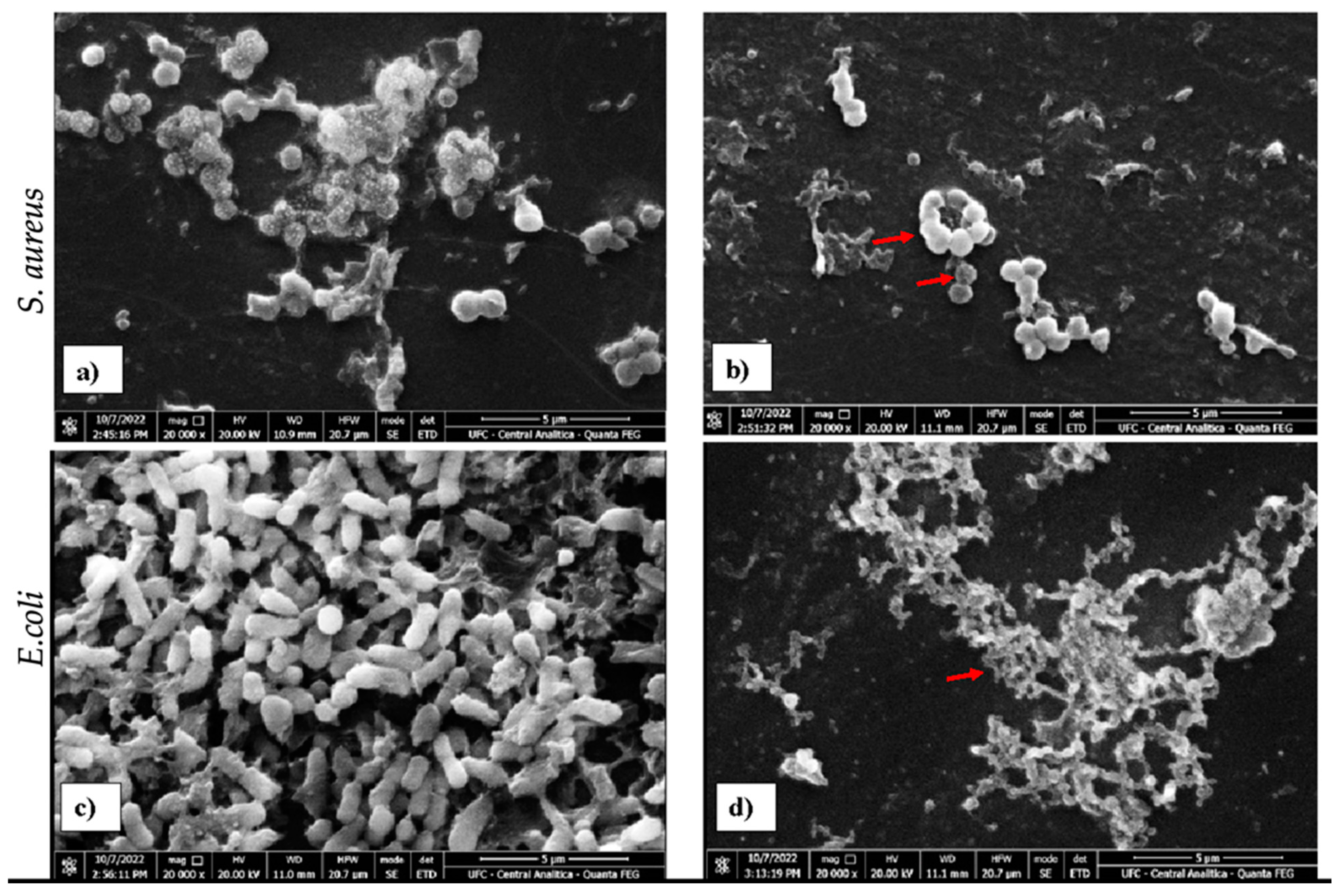 Antibiotics 14 00286 g002