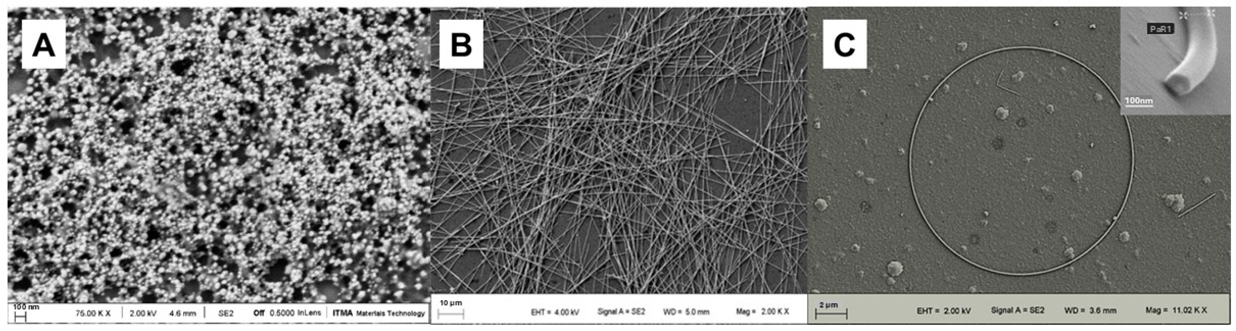 Antibiotics 14 00289 g001