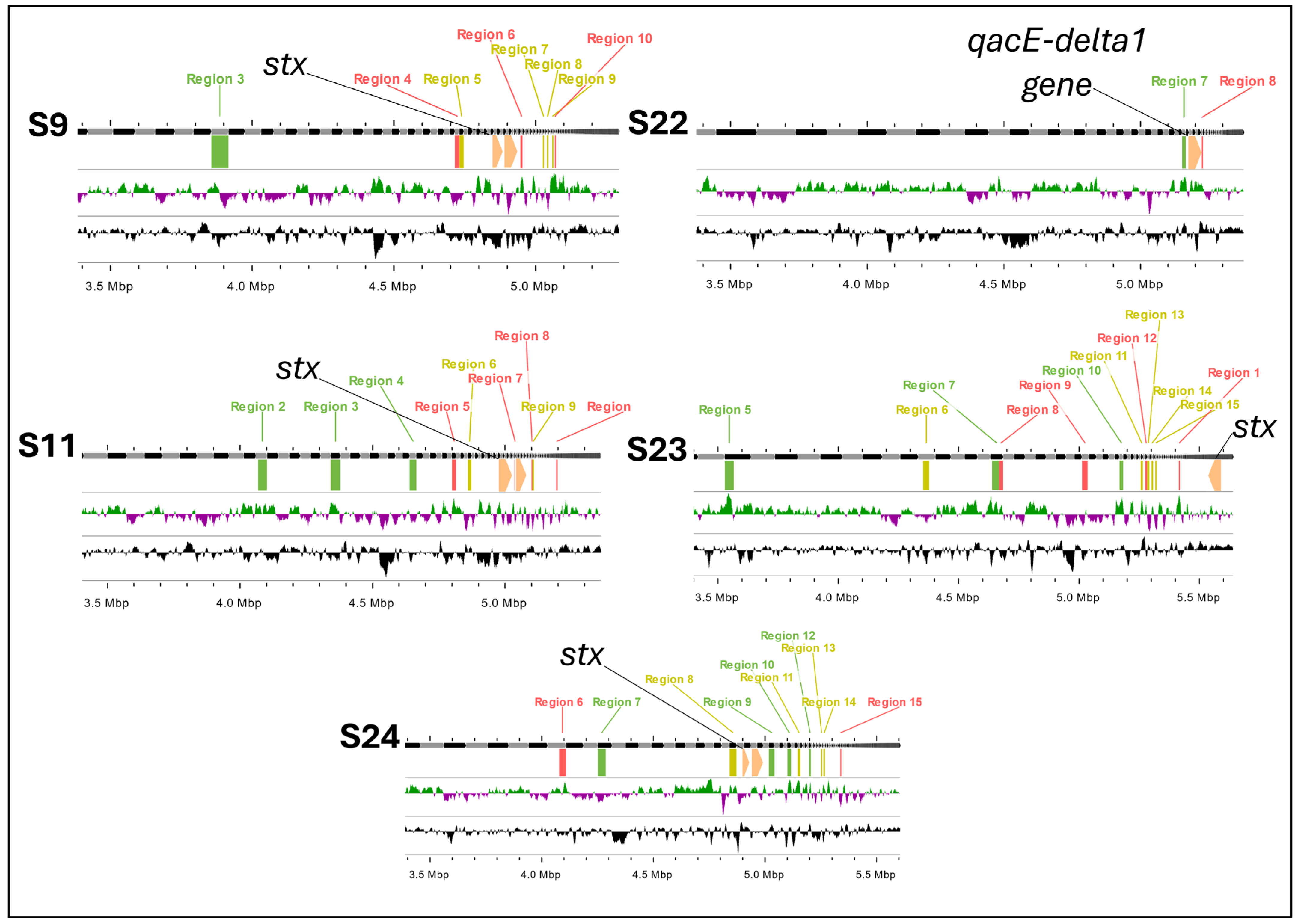 Antibiotics 14 00291 g005 Antibiotics 14 00291 g005