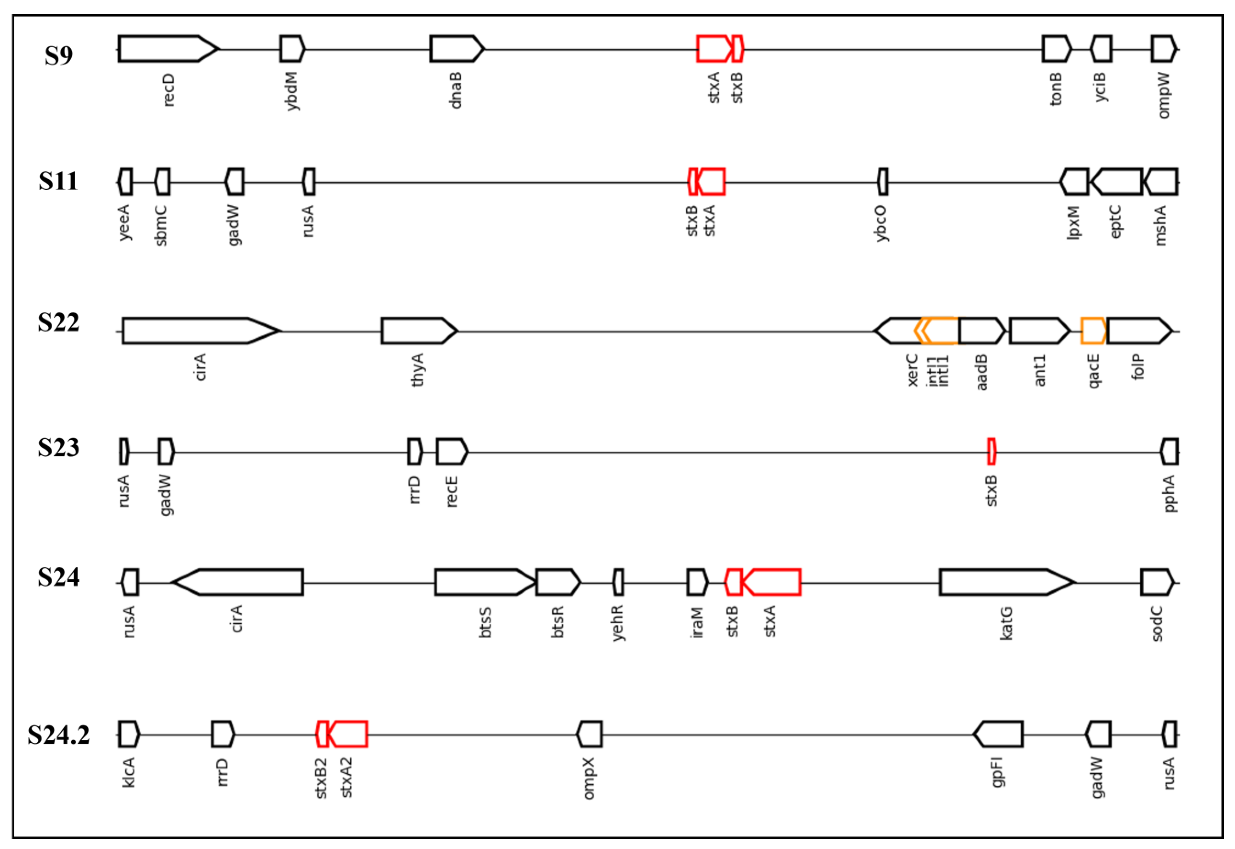 Antibiotics 14 00291 g006 Antibiotics 14 00291 g006
