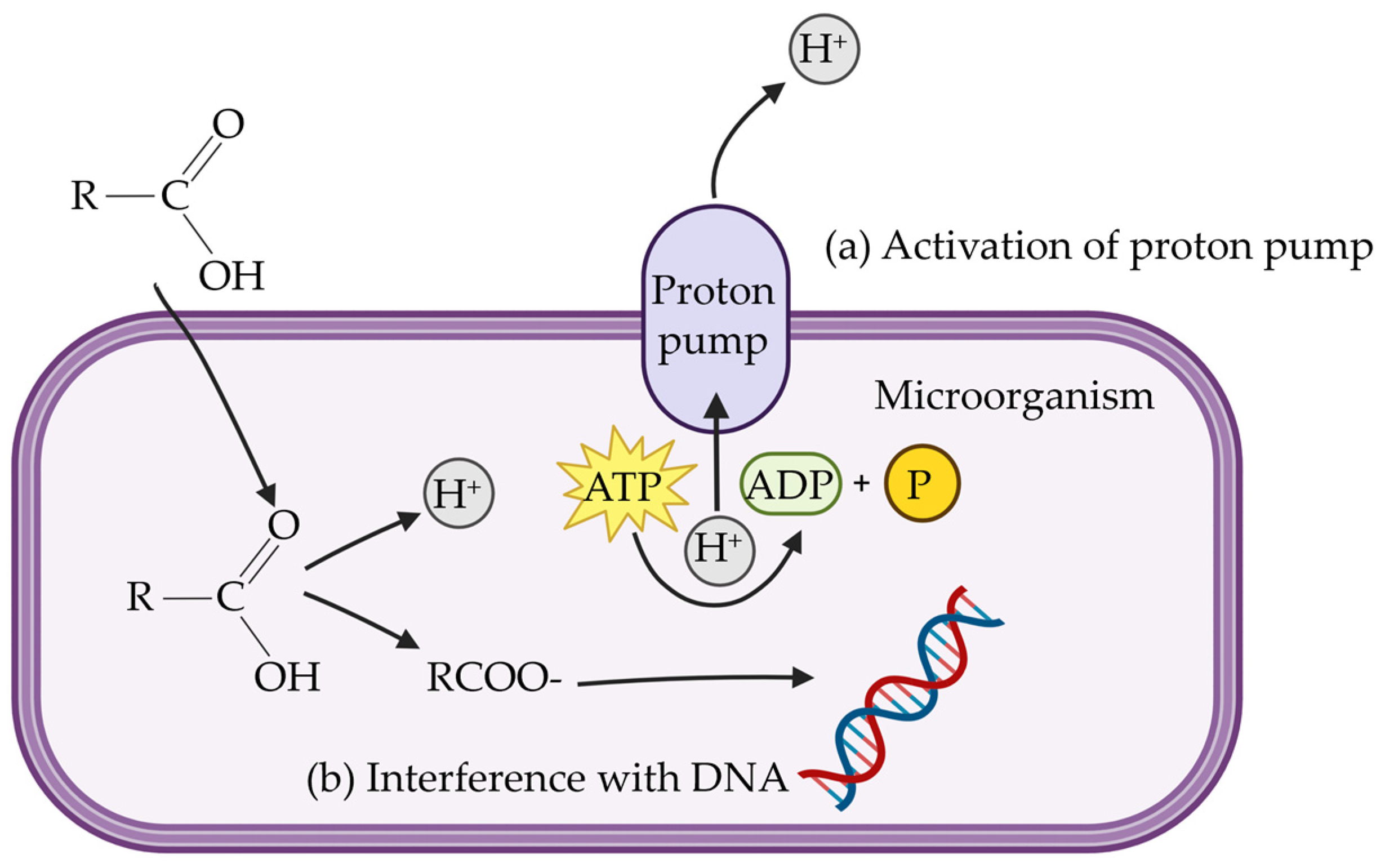 Antibiotics 14 00301 g003