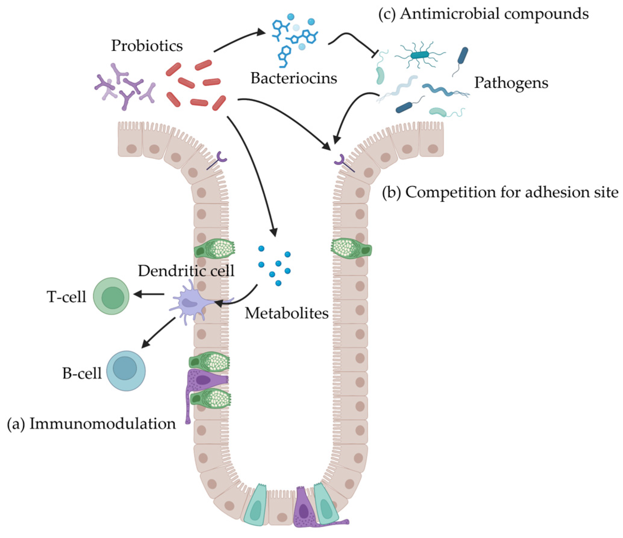 Antibiotics 14 00301 g005