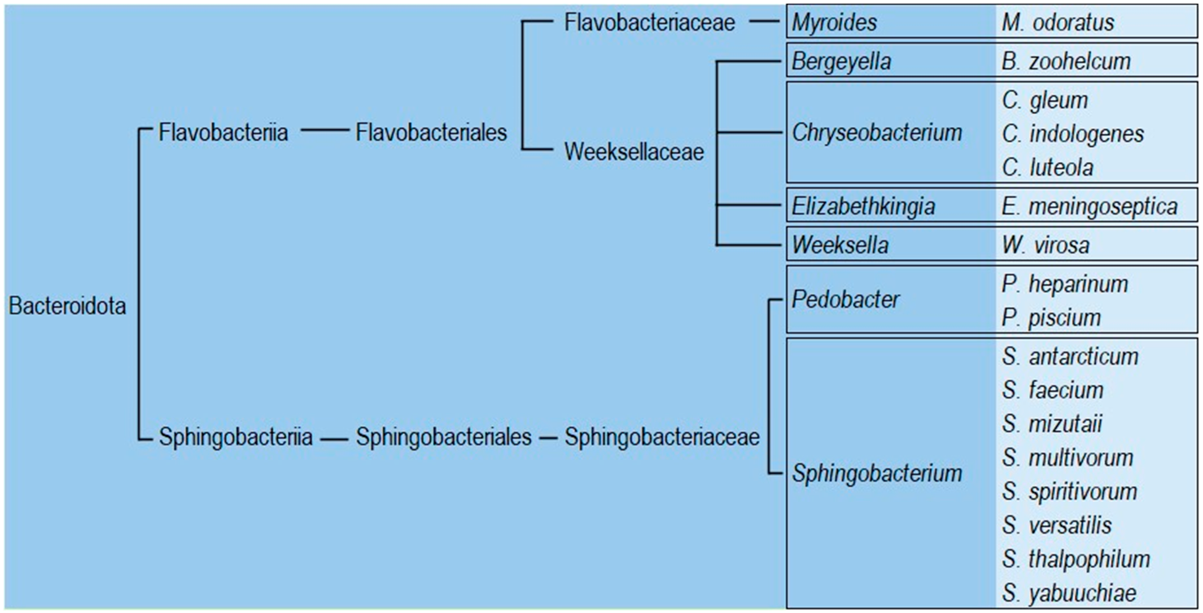 Antibiotics 14 00306 g001