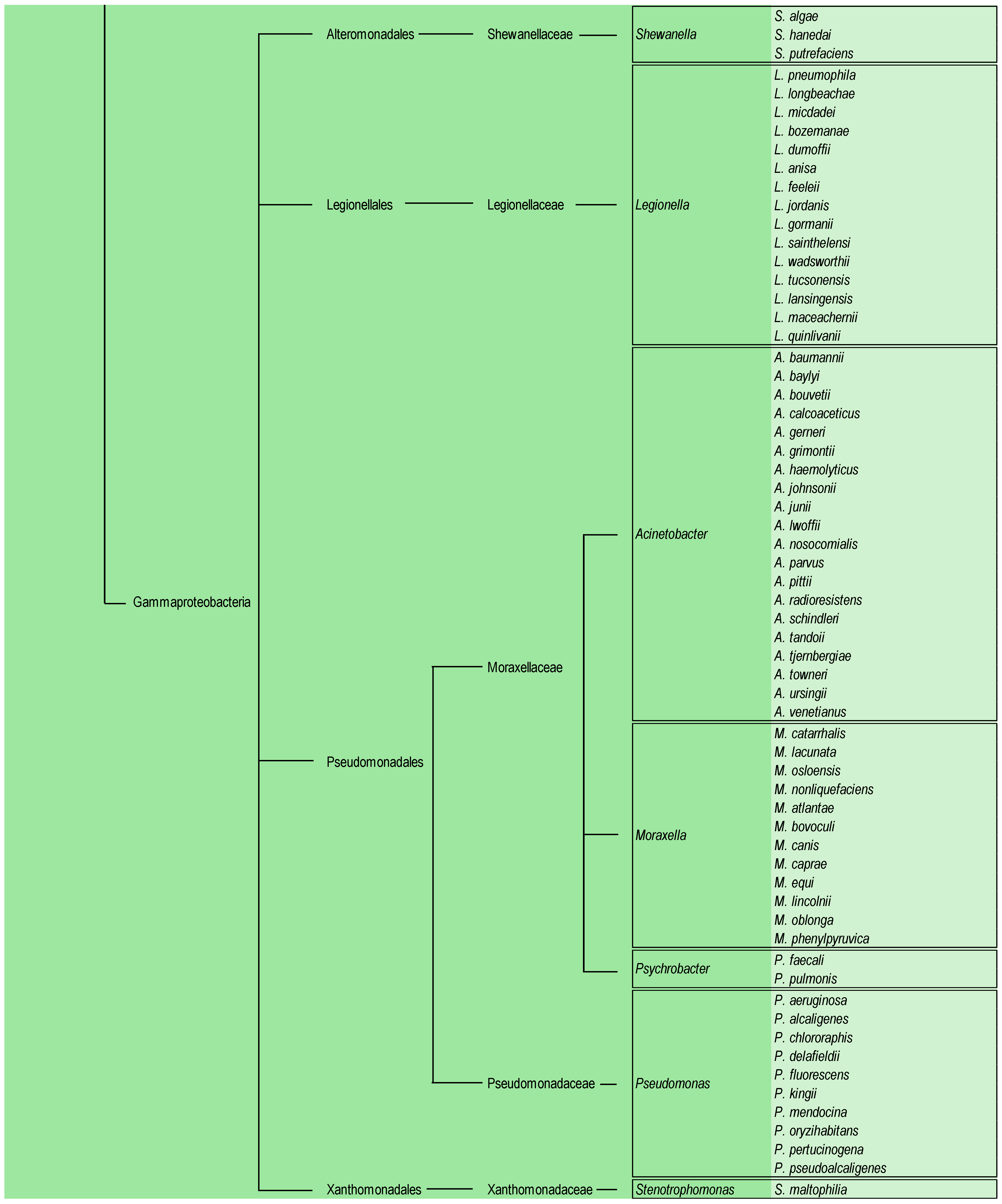 Antibiotics 14 00306 g002b