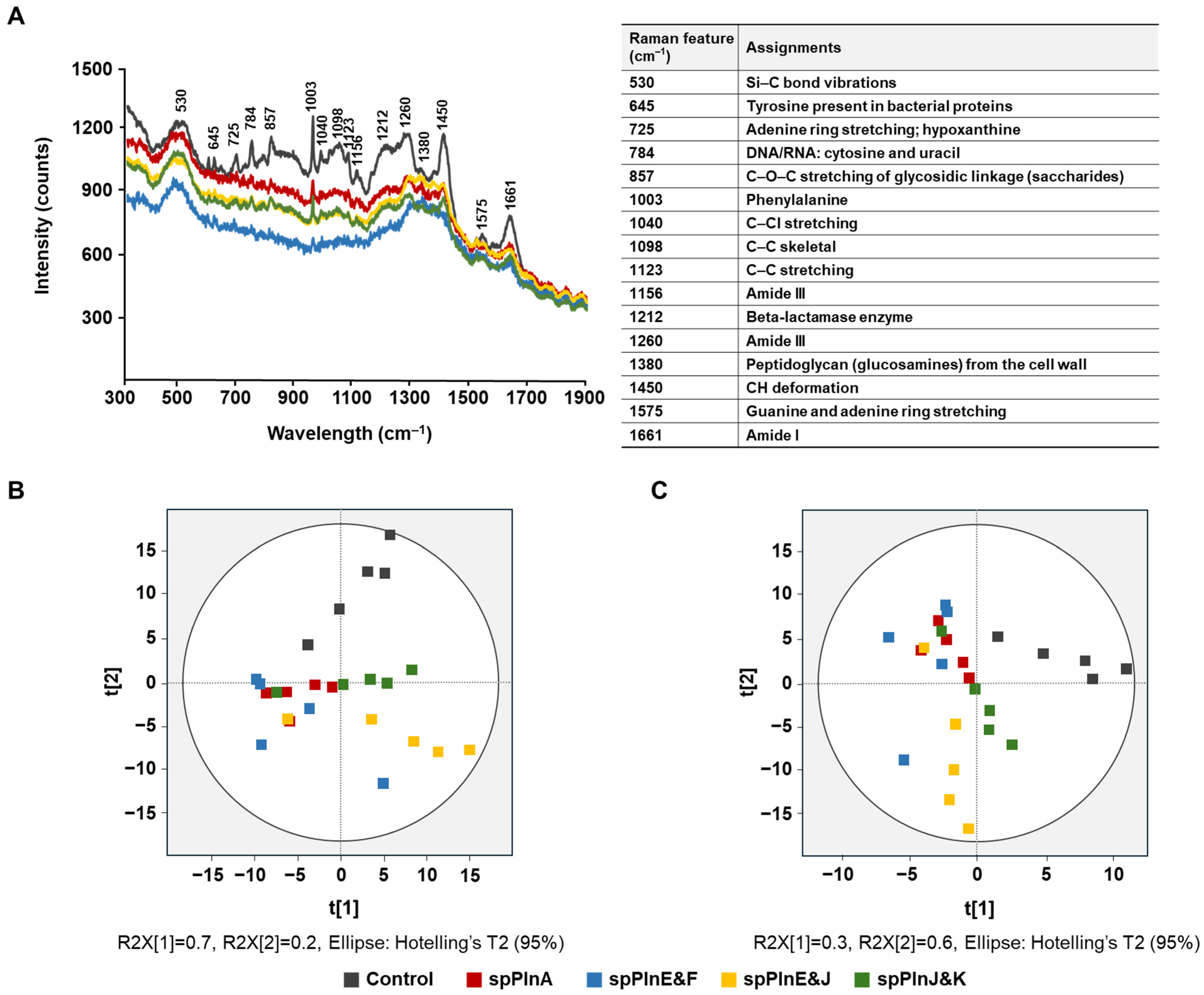 Antibiotics 14 00311 g001