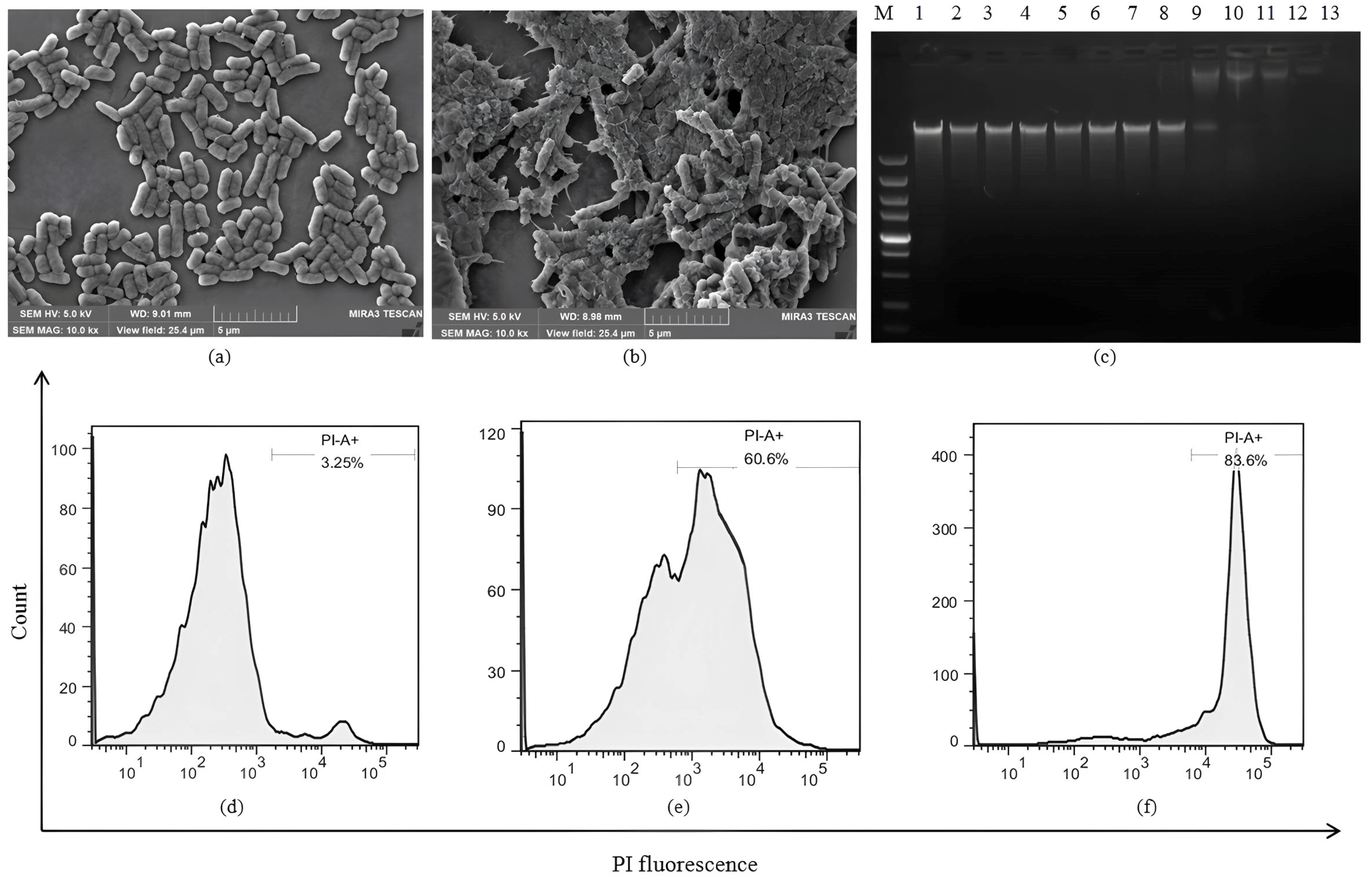 Antibiotics 14 00312 g002