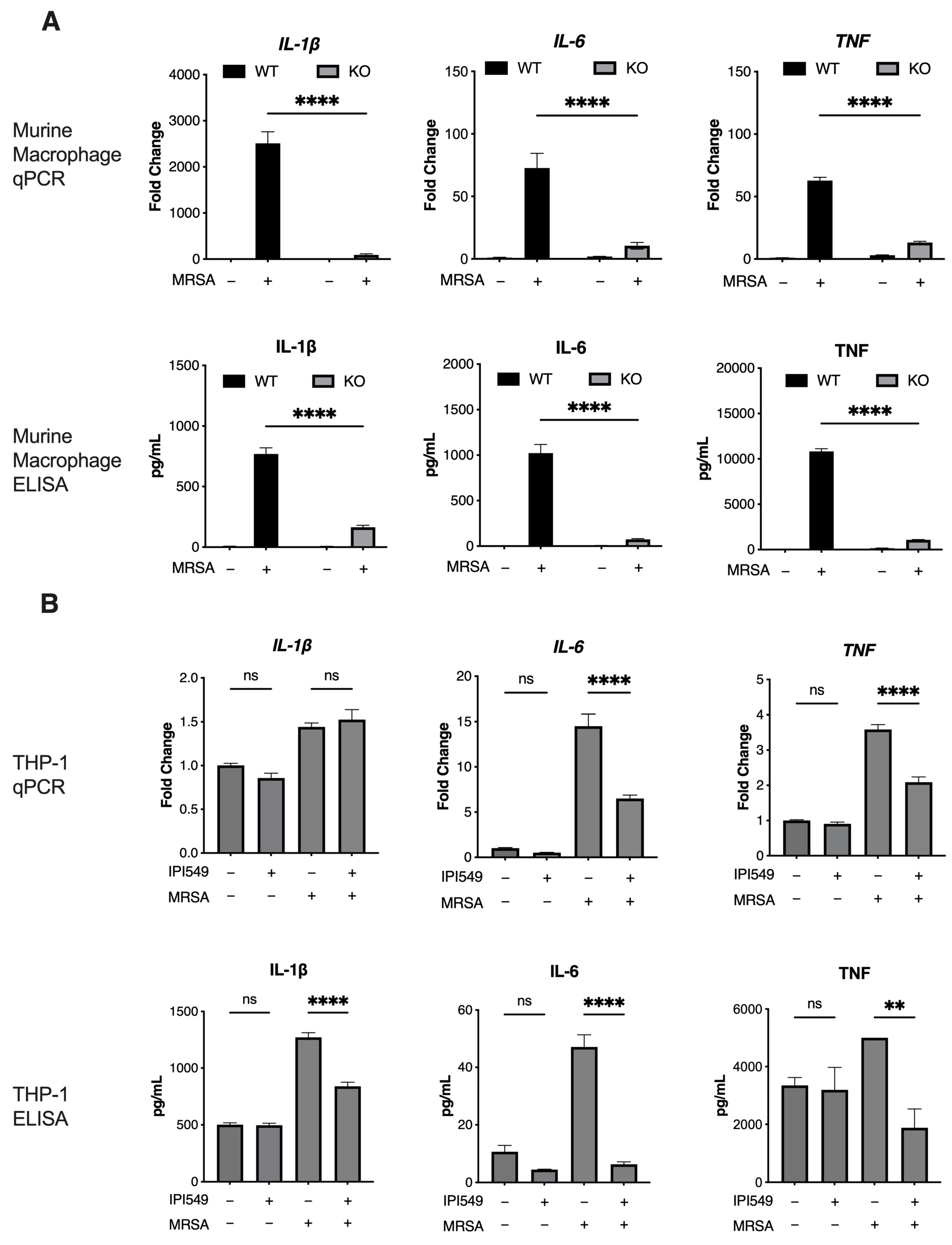 Antibiotics 14 00315 g002