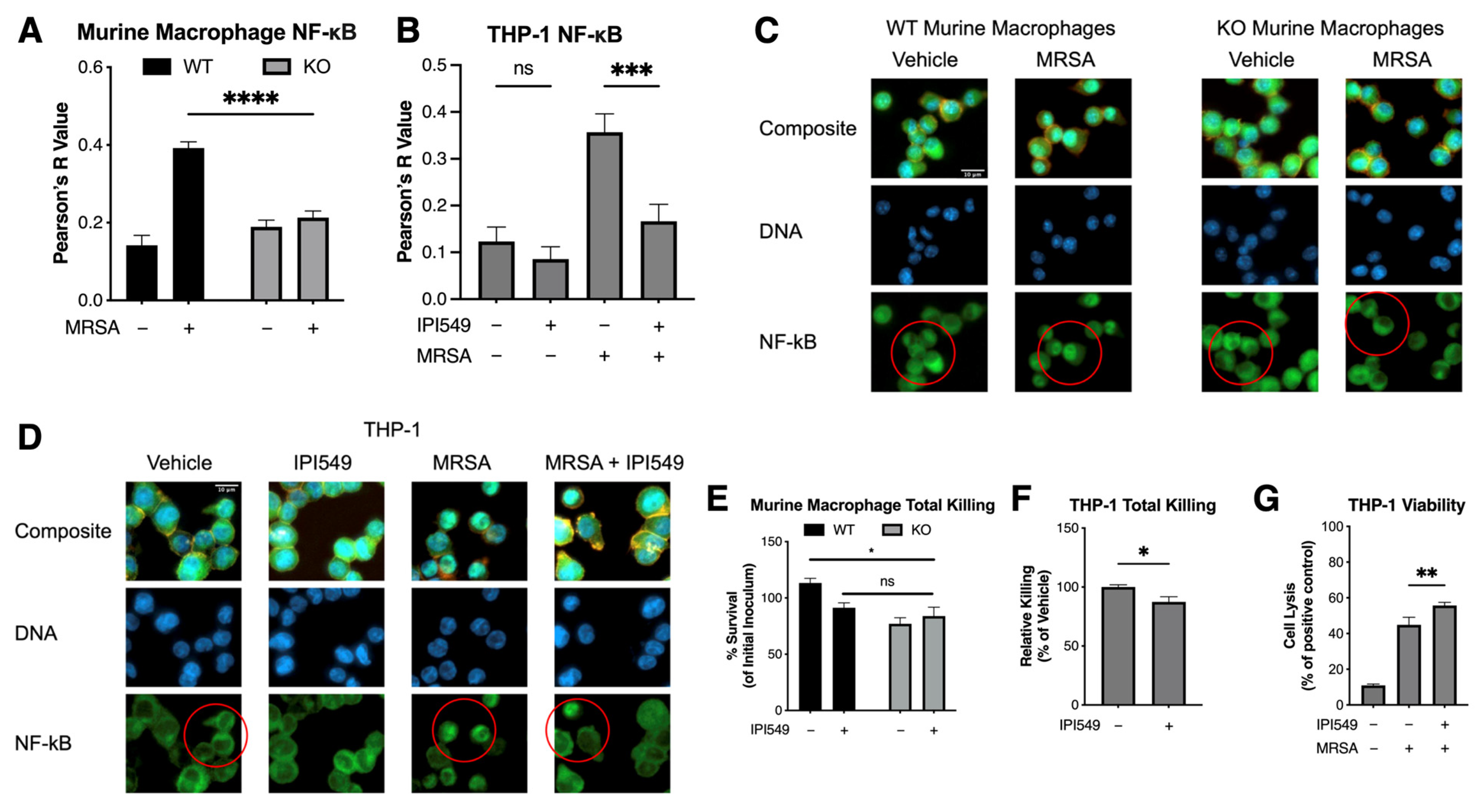 Antibiotics 14 00315 g003