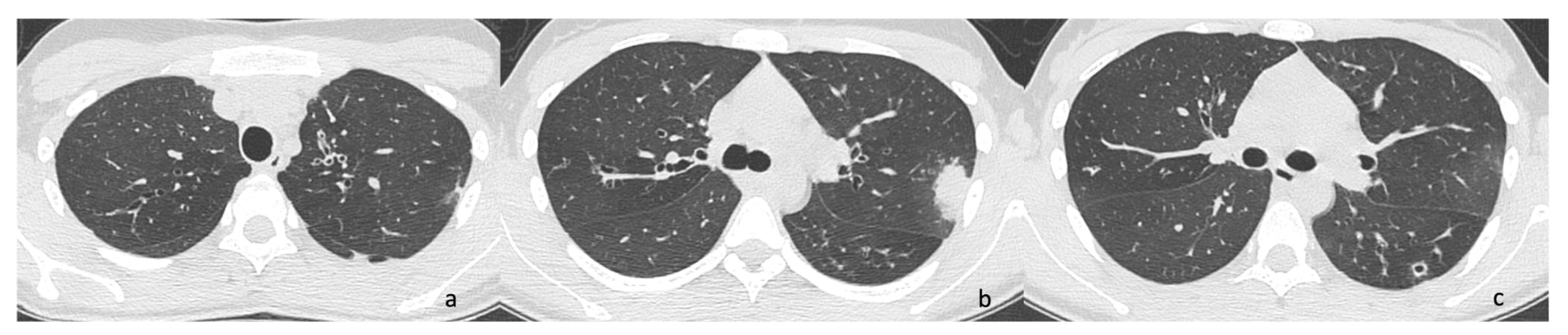 Antibiotics 14 00317 g002