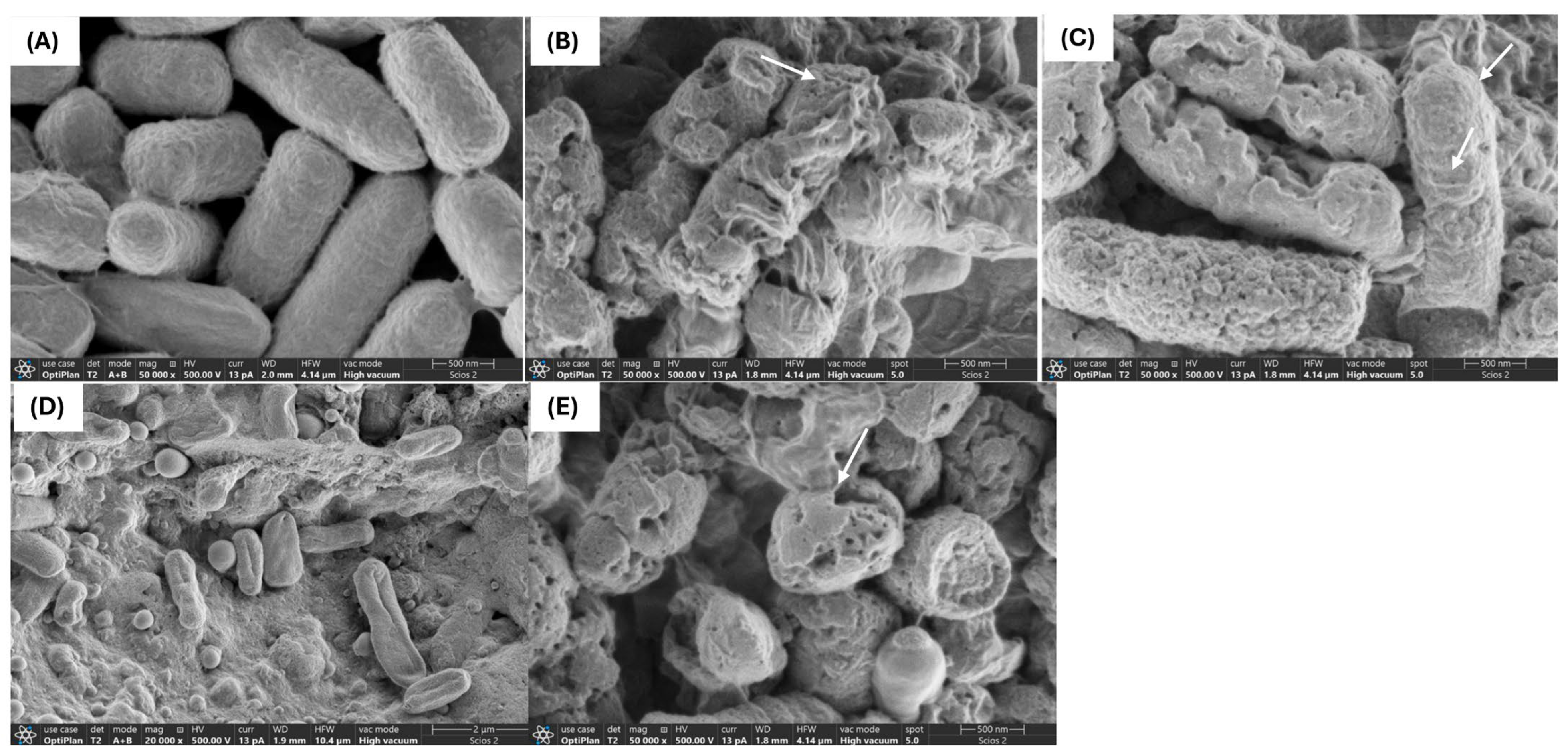Antibiotics 14 00318 g002