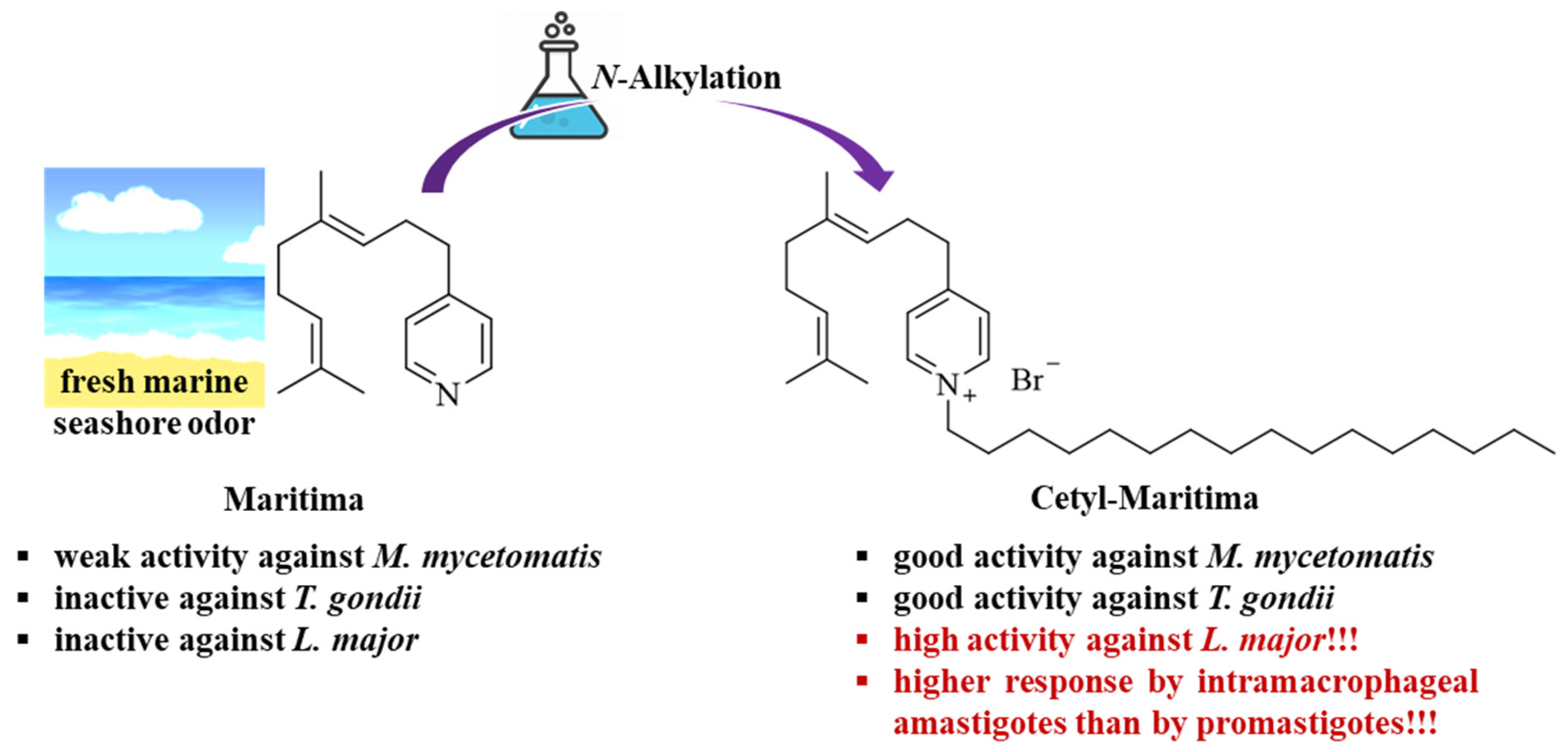 Antibiotics 14 00321 g004