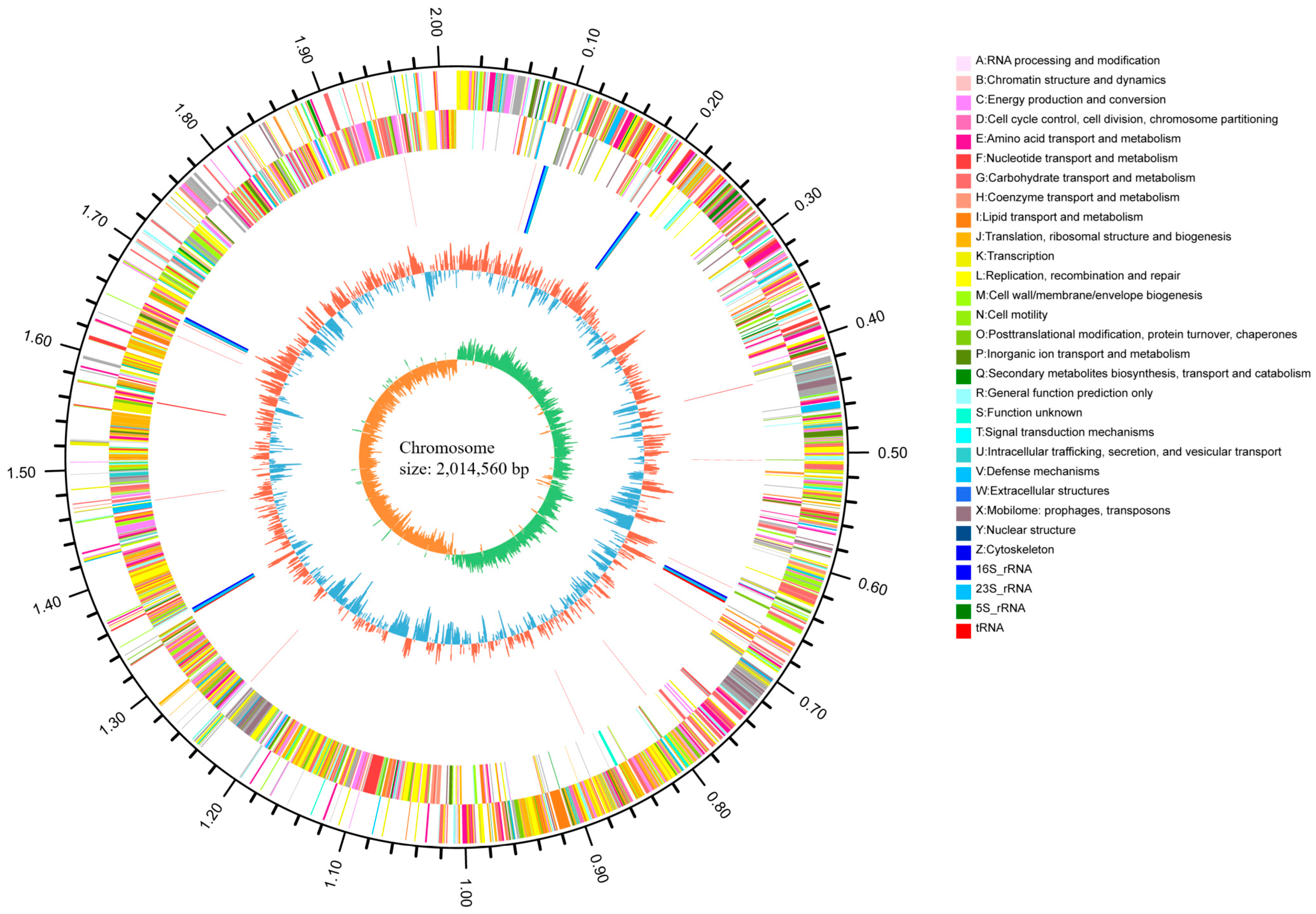 Antibiotics 14 00323 g001