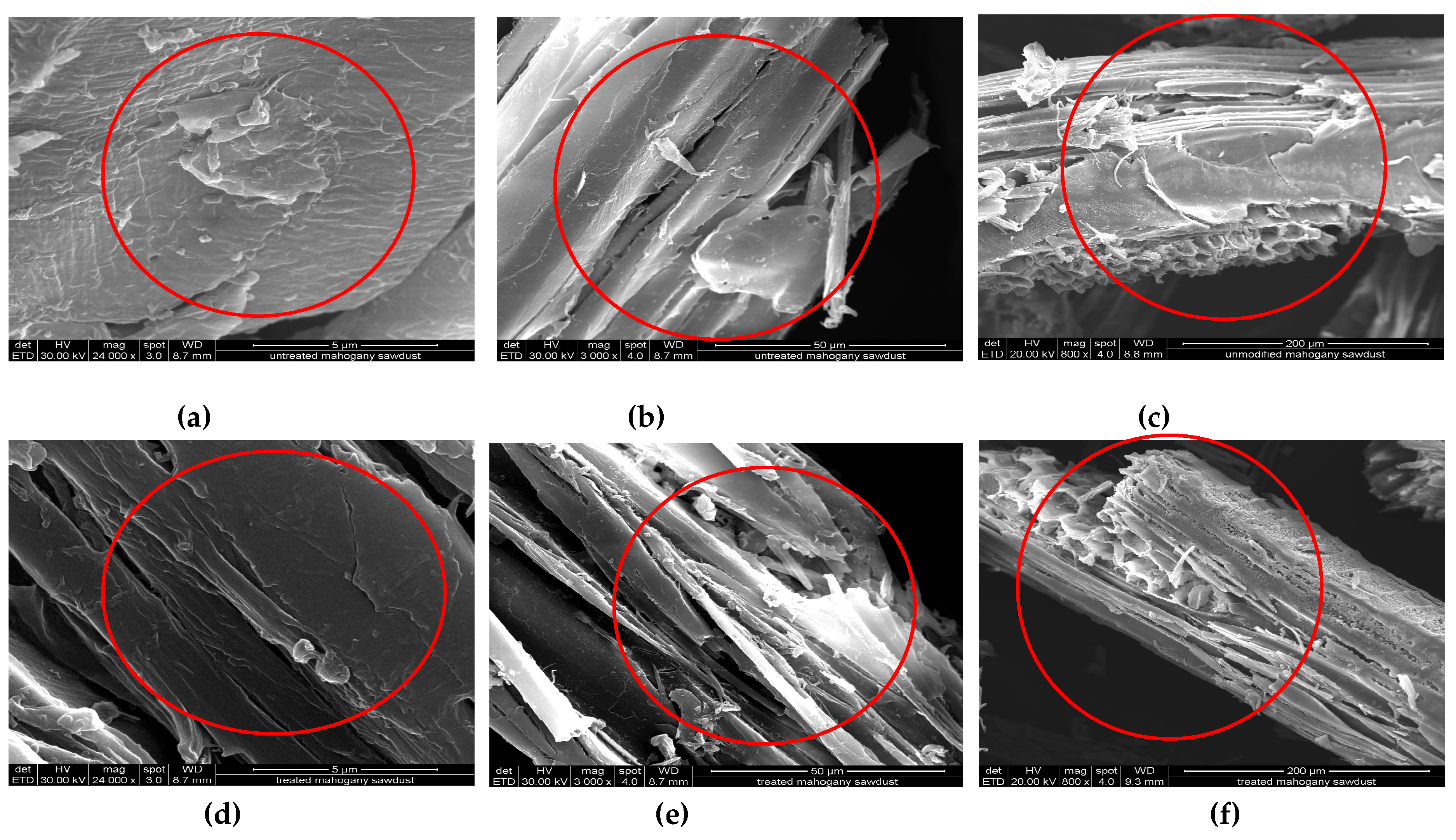 Antibiotics 14 00324 g004
