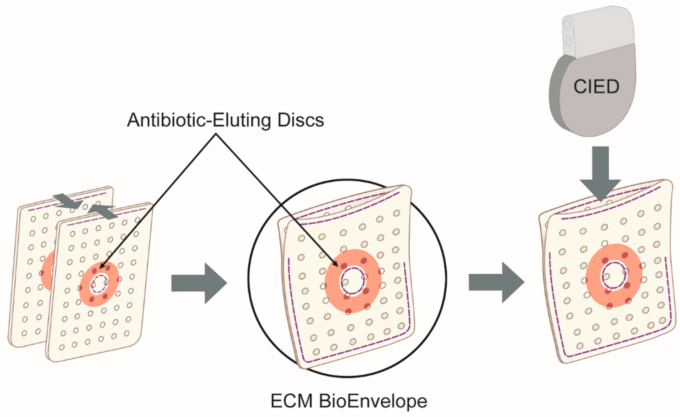 Antibiotics 14 00330 g004