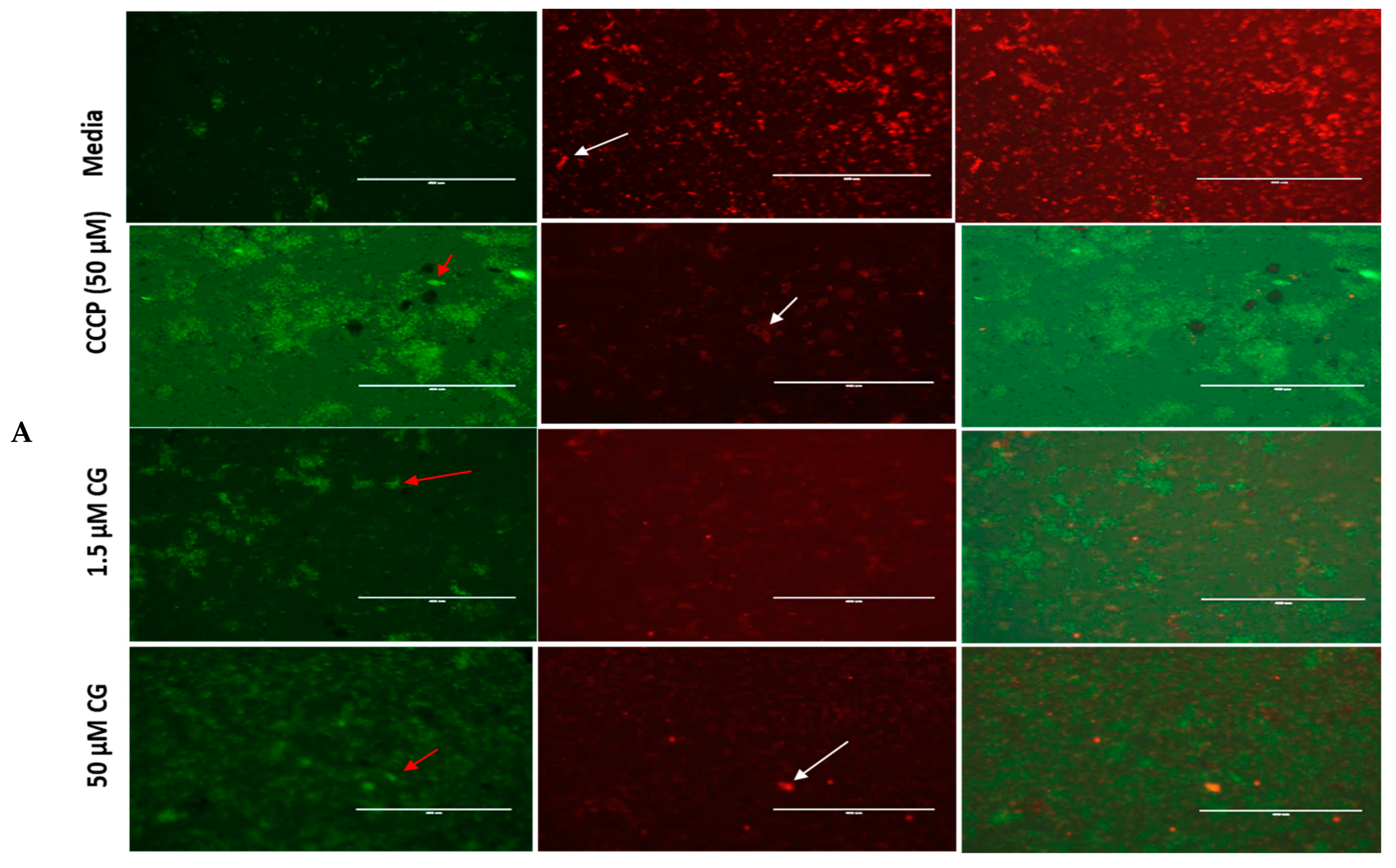 Antibiotics 14 00336 g002a