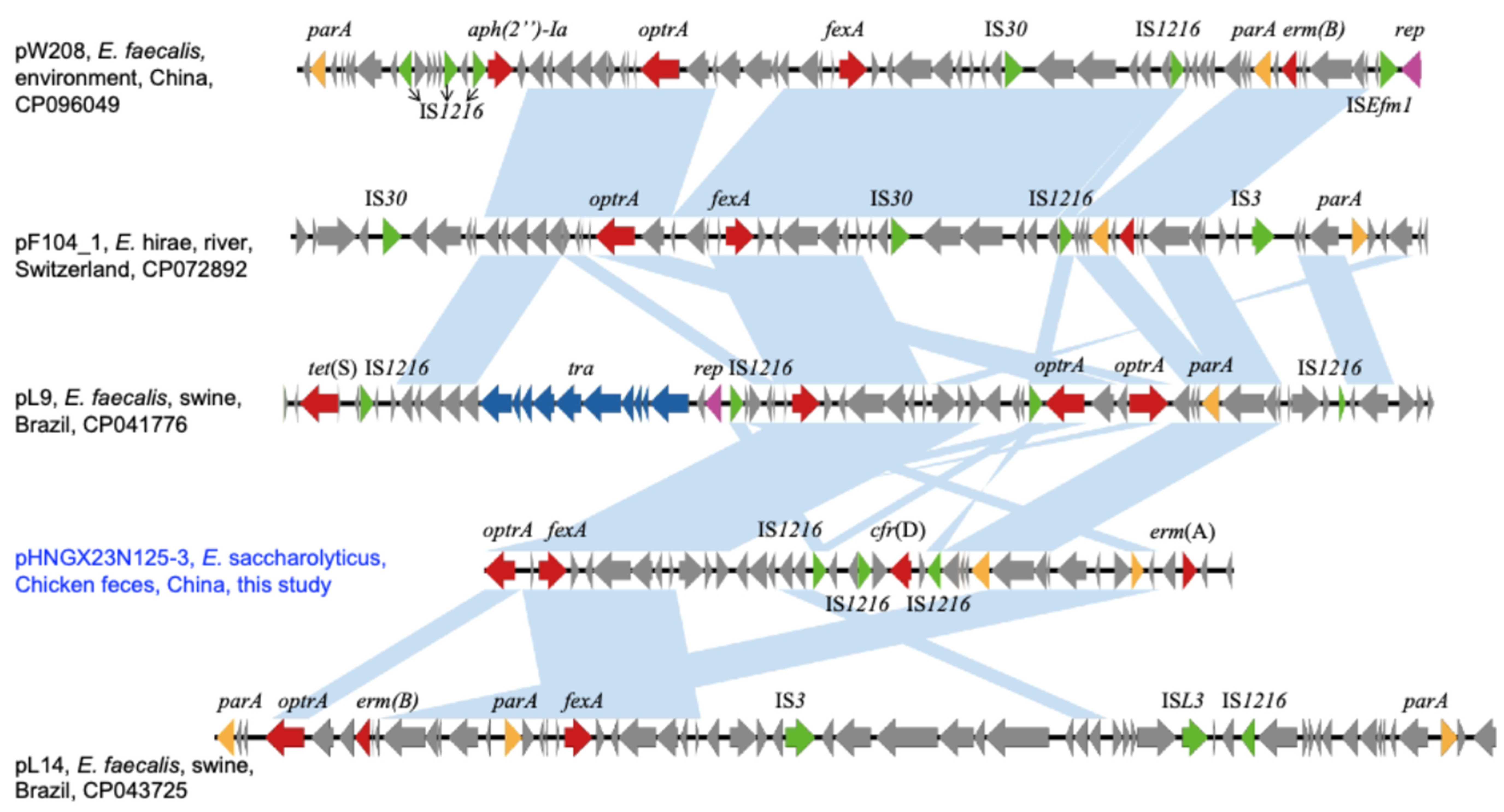 Antibiotics 14 00337 g001