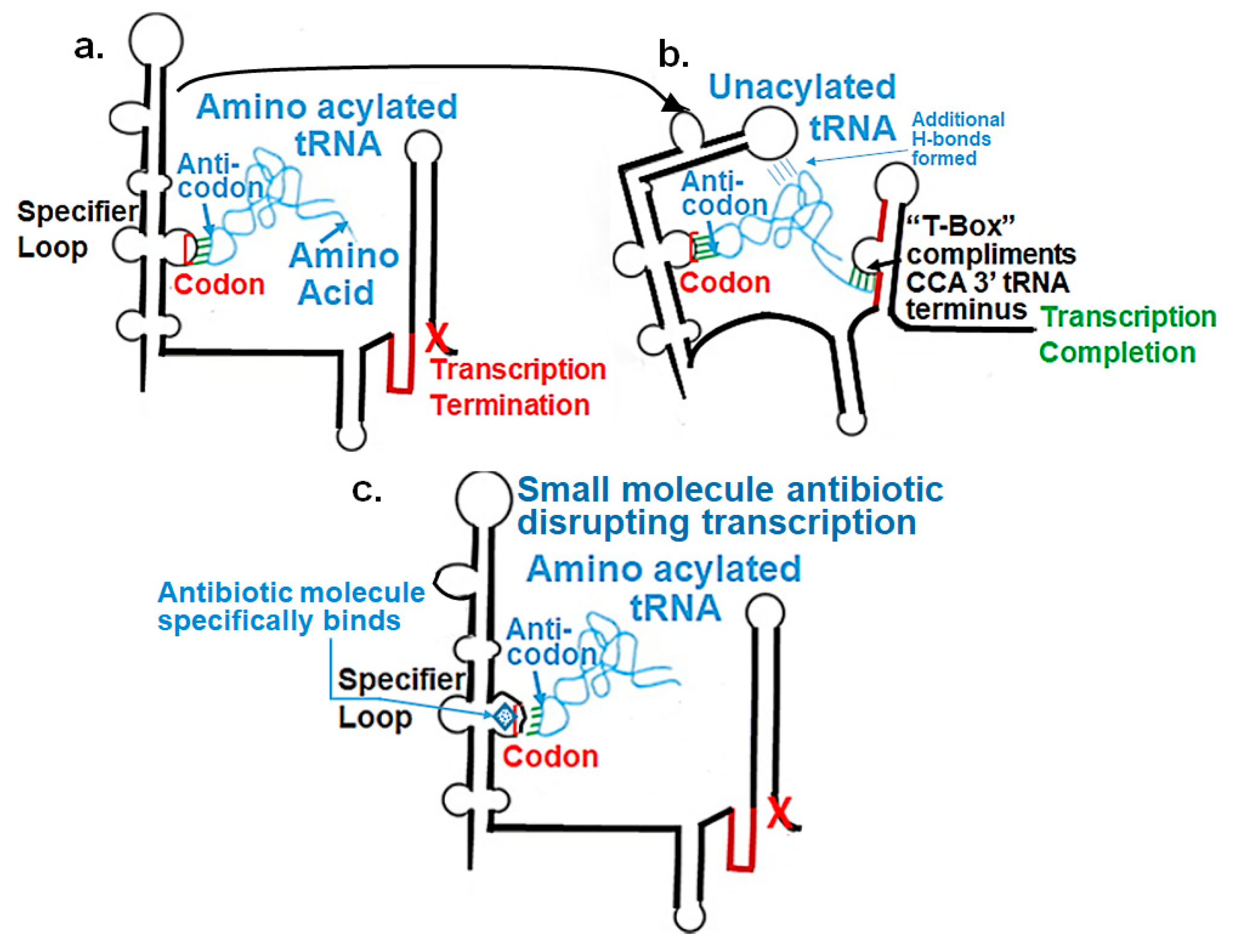 Antibiotics 14 00345 g001