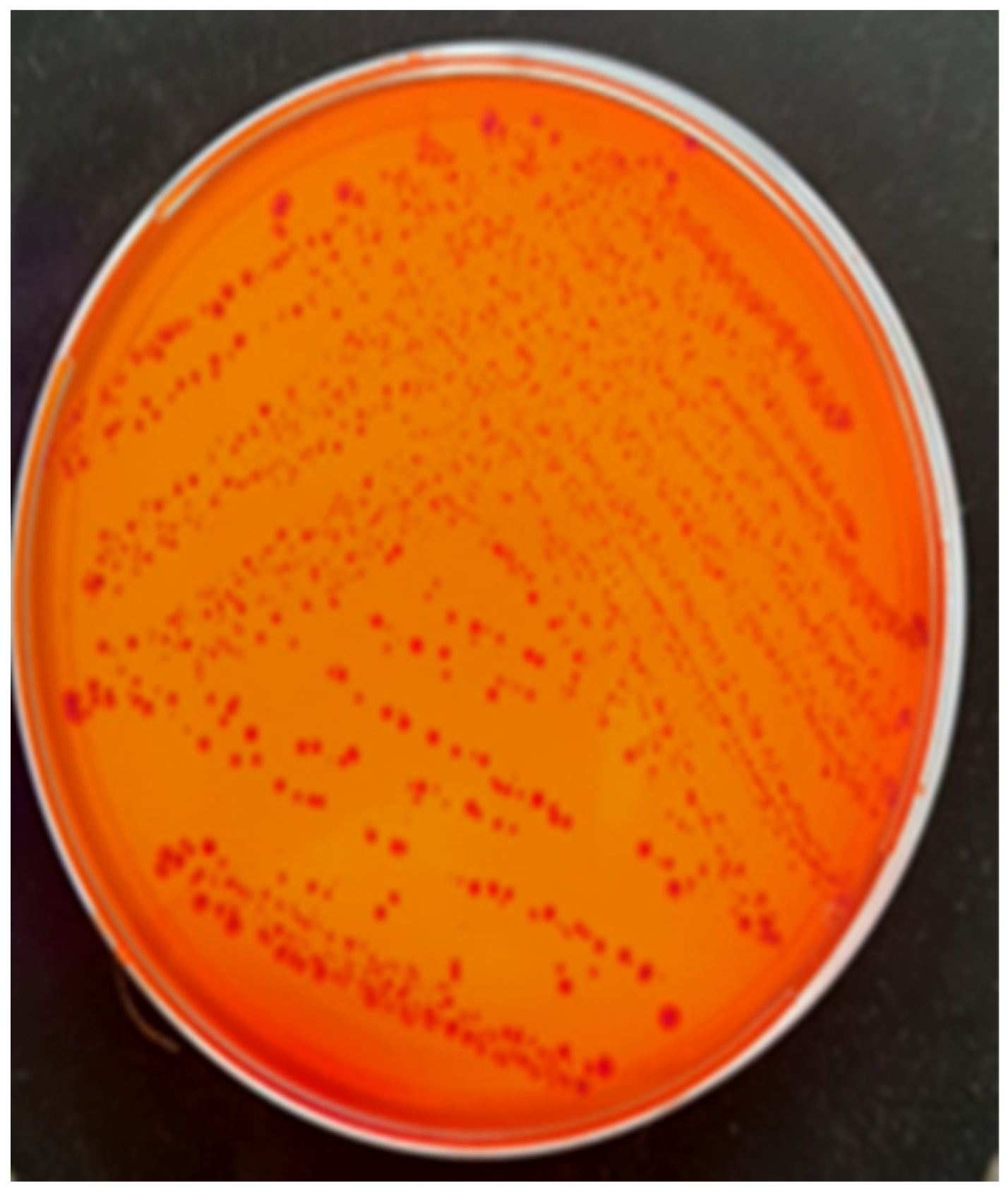 Antibiotics 14 00354 g003