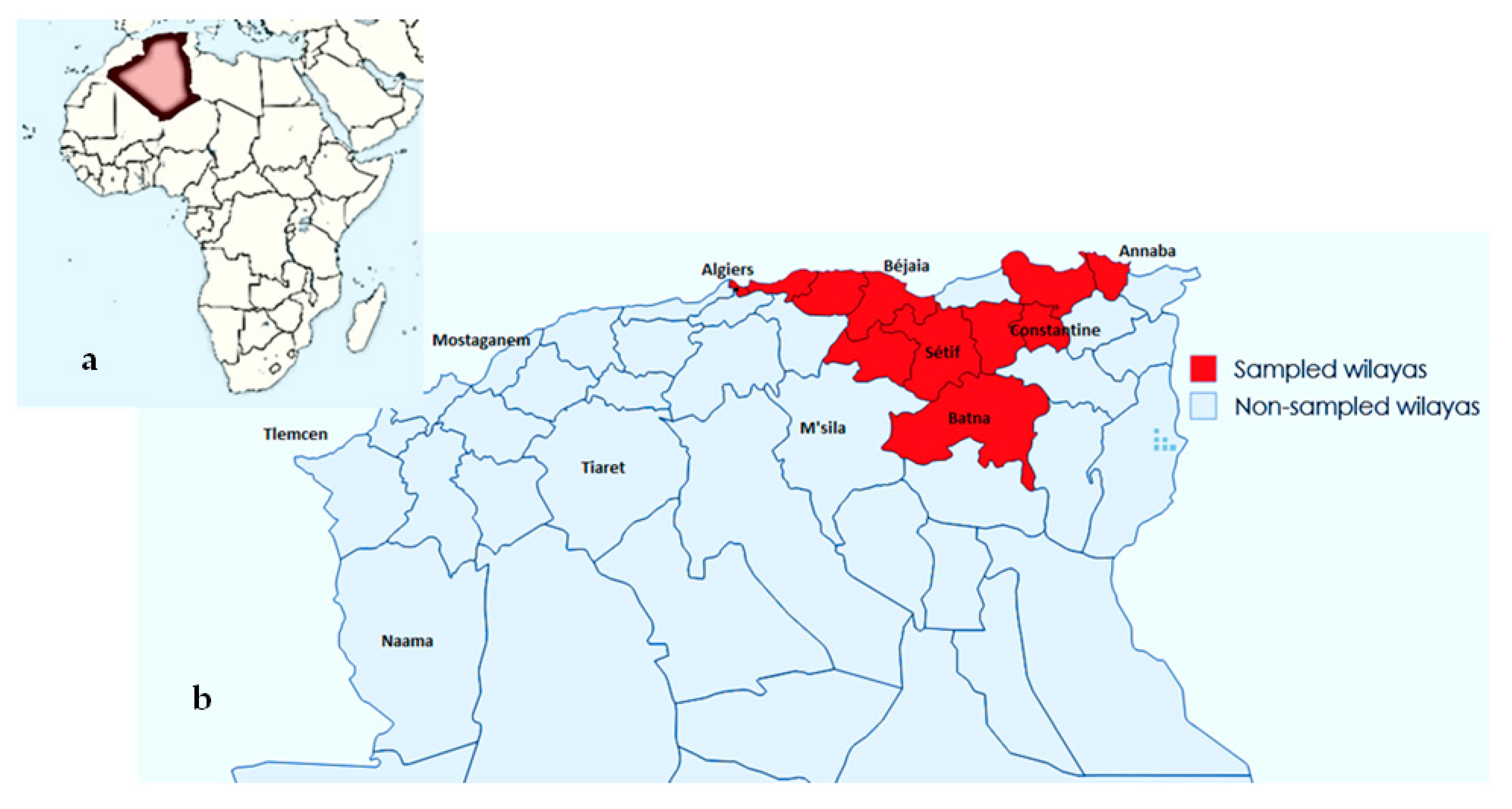 Antibiotics 14 00356 g001