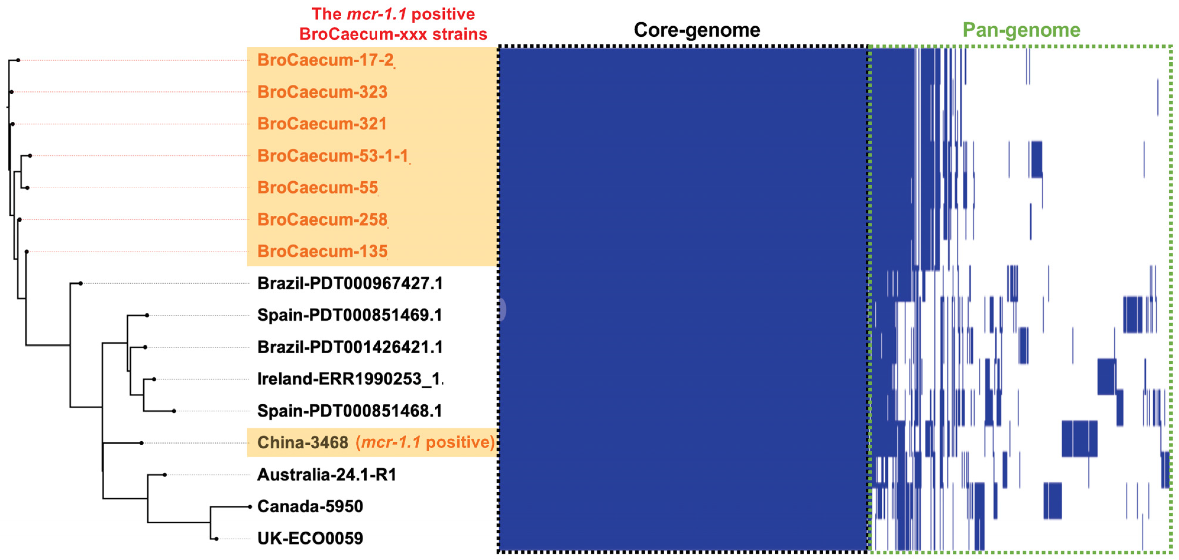 Antibiotics 14 00360 g003