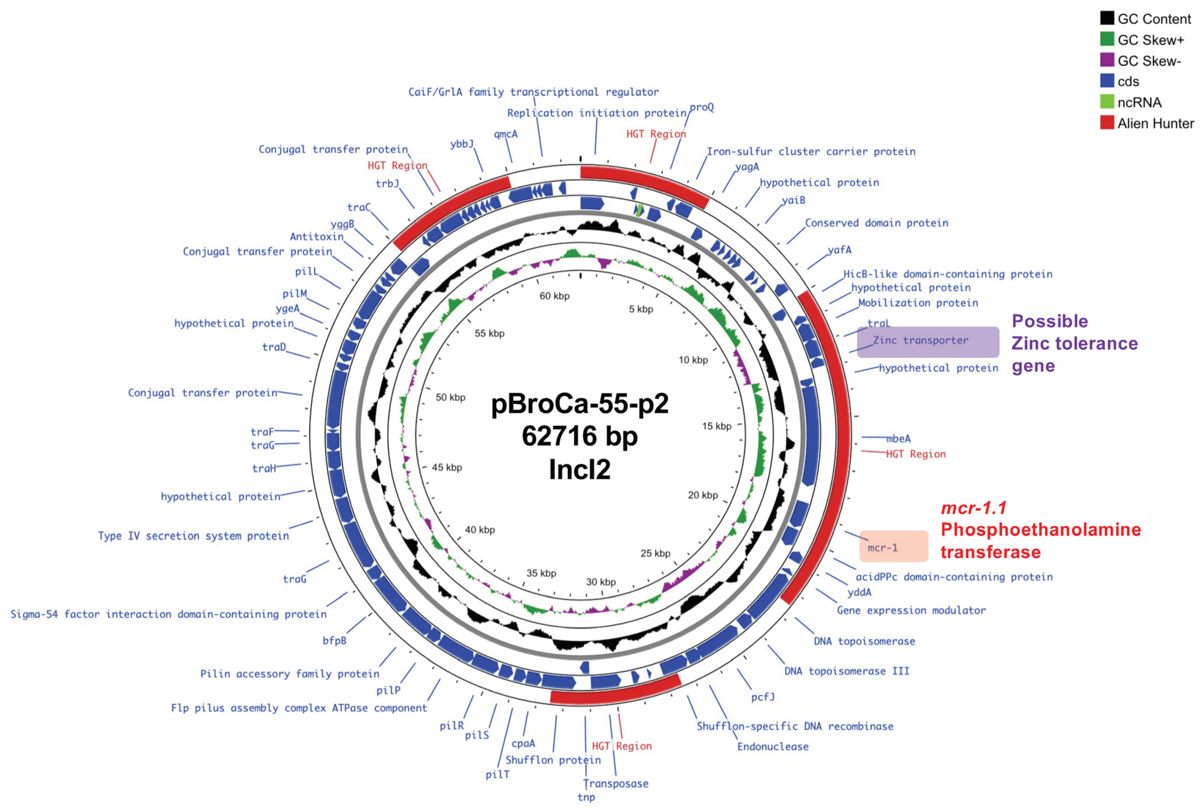 Antibiotics 14 00360 g004