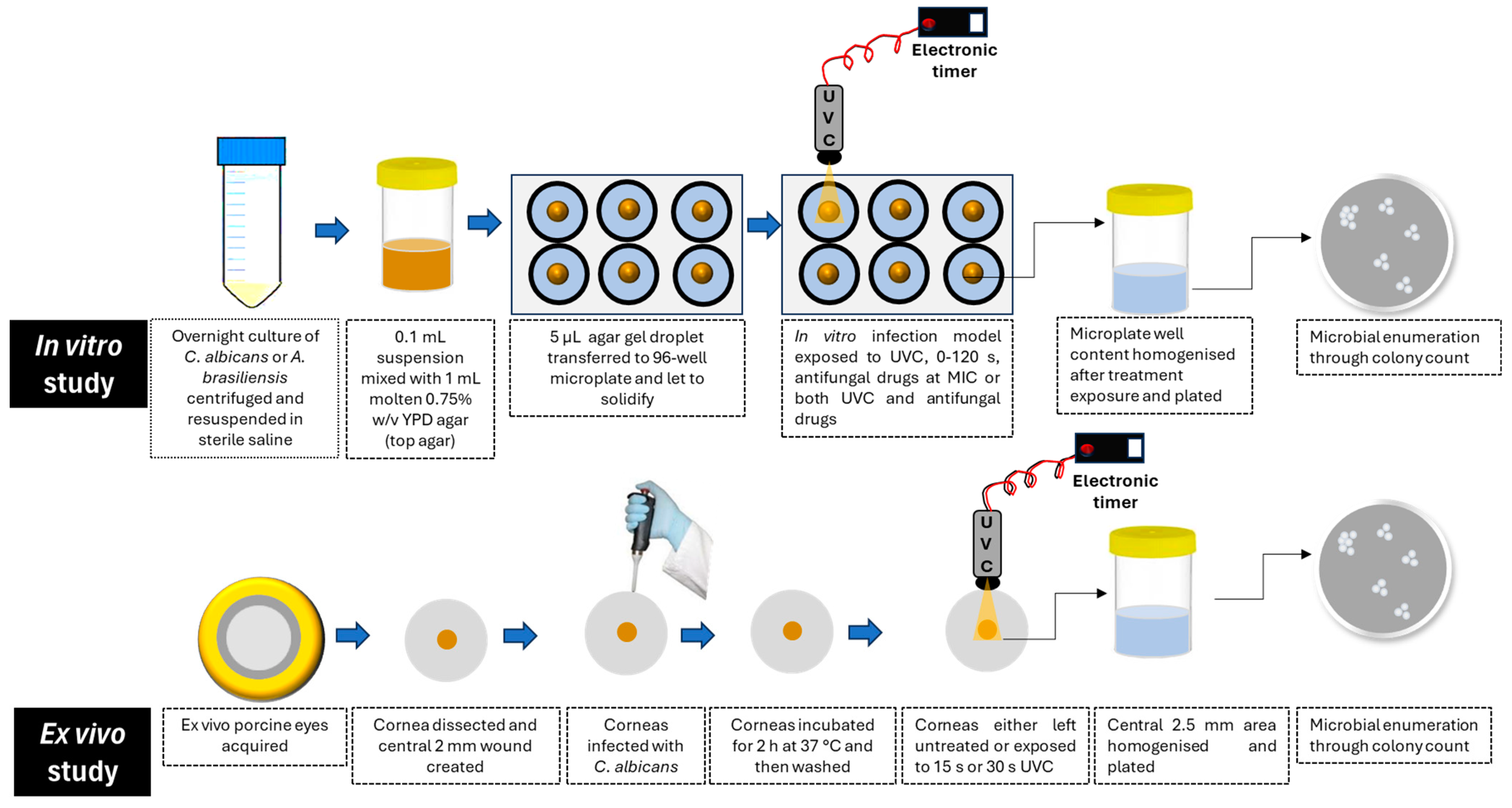 Antibiotics 14 00361 g001