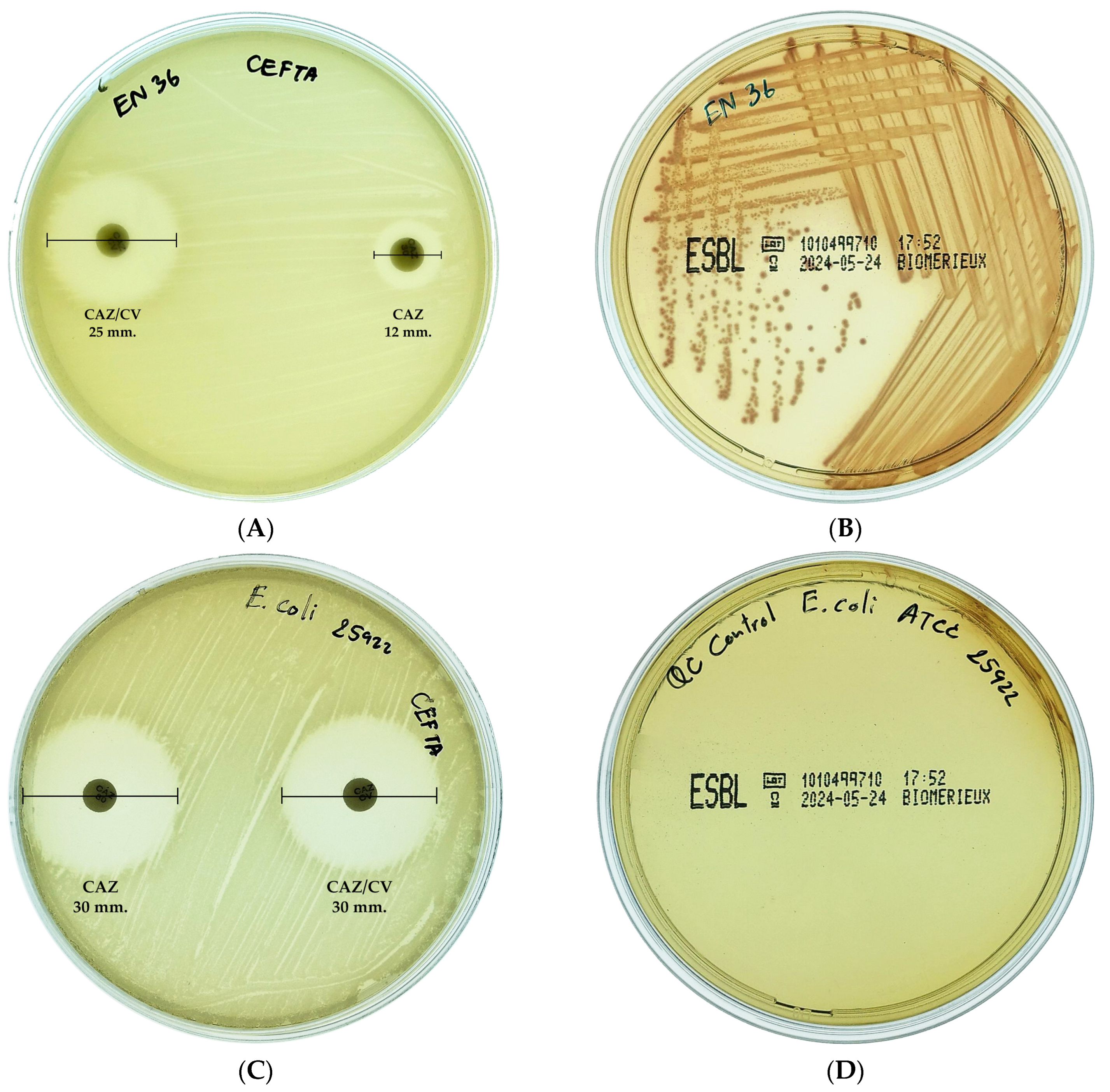 Antibiotics 14 00377 g001