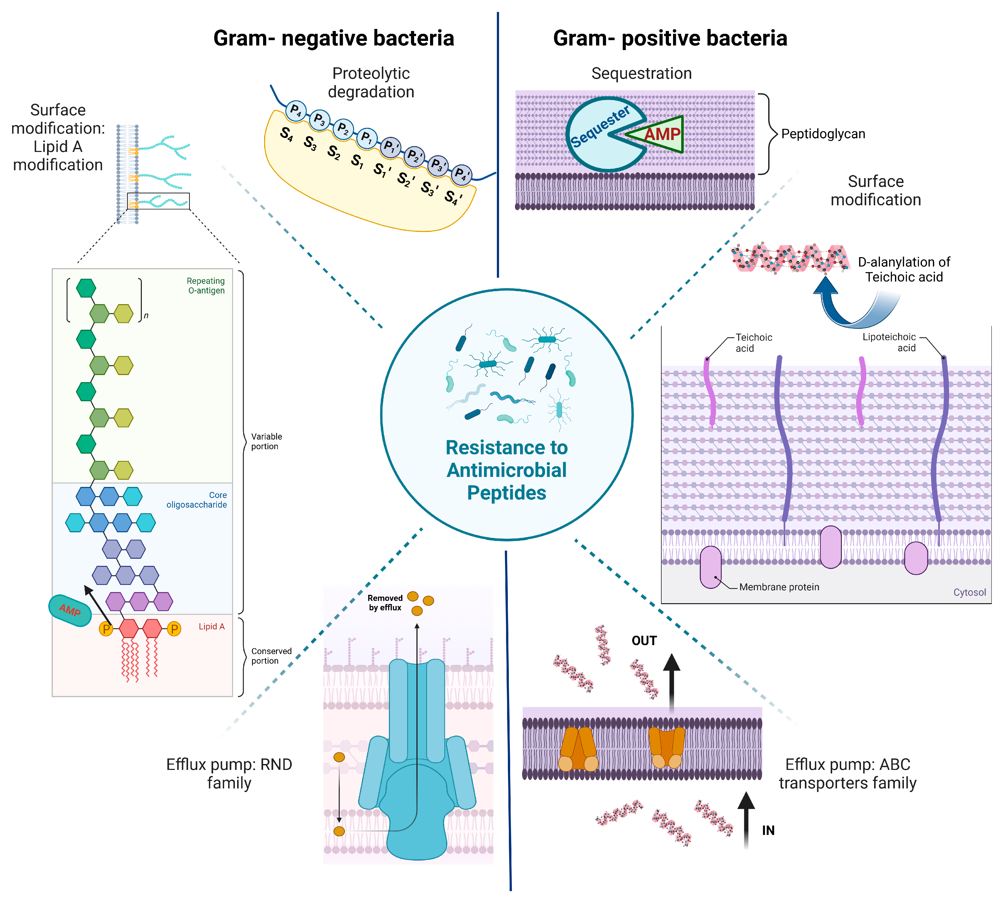 Antibiotics 14 00379 g001
