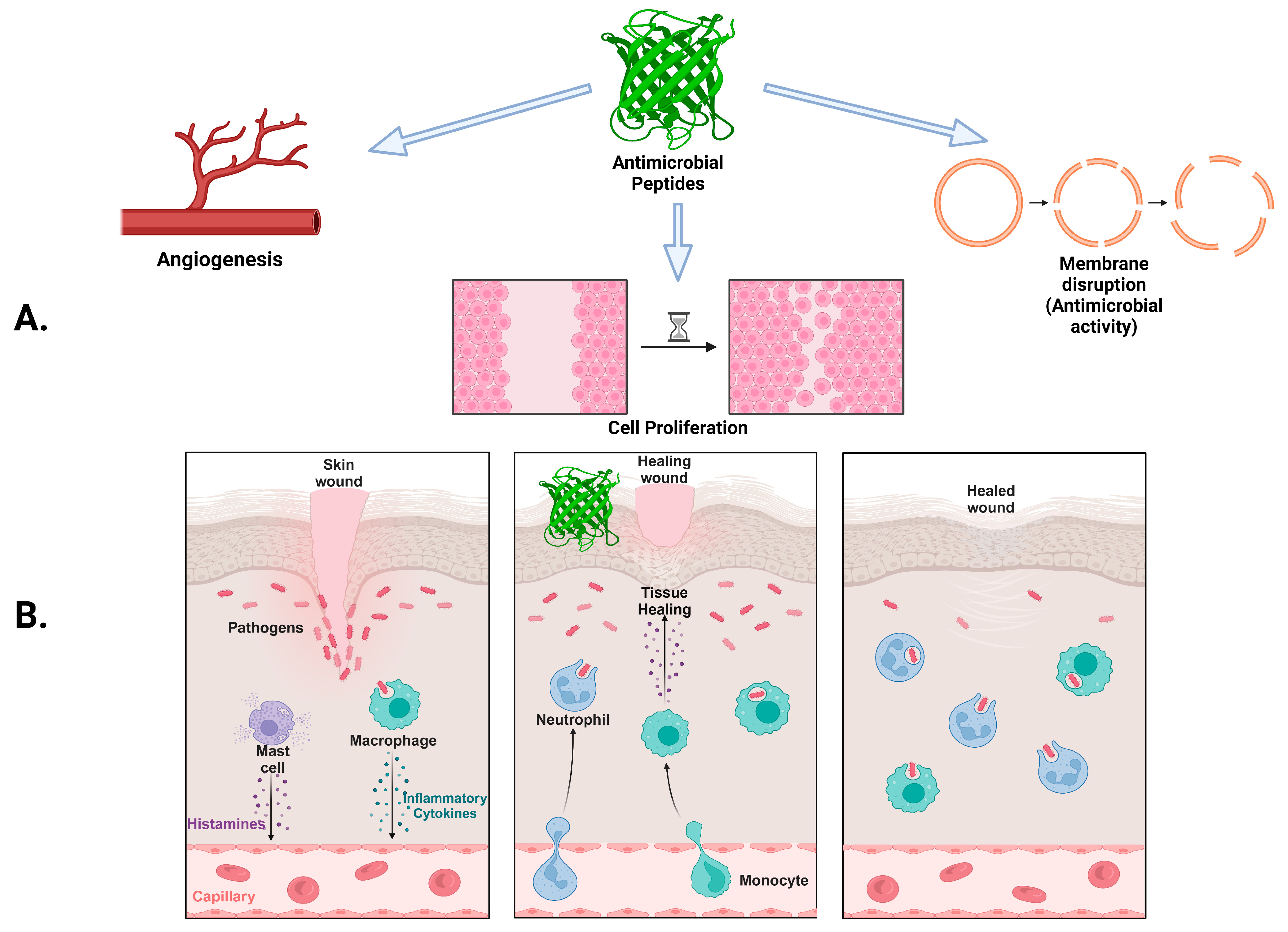 Antibiotics 14 00379 g002