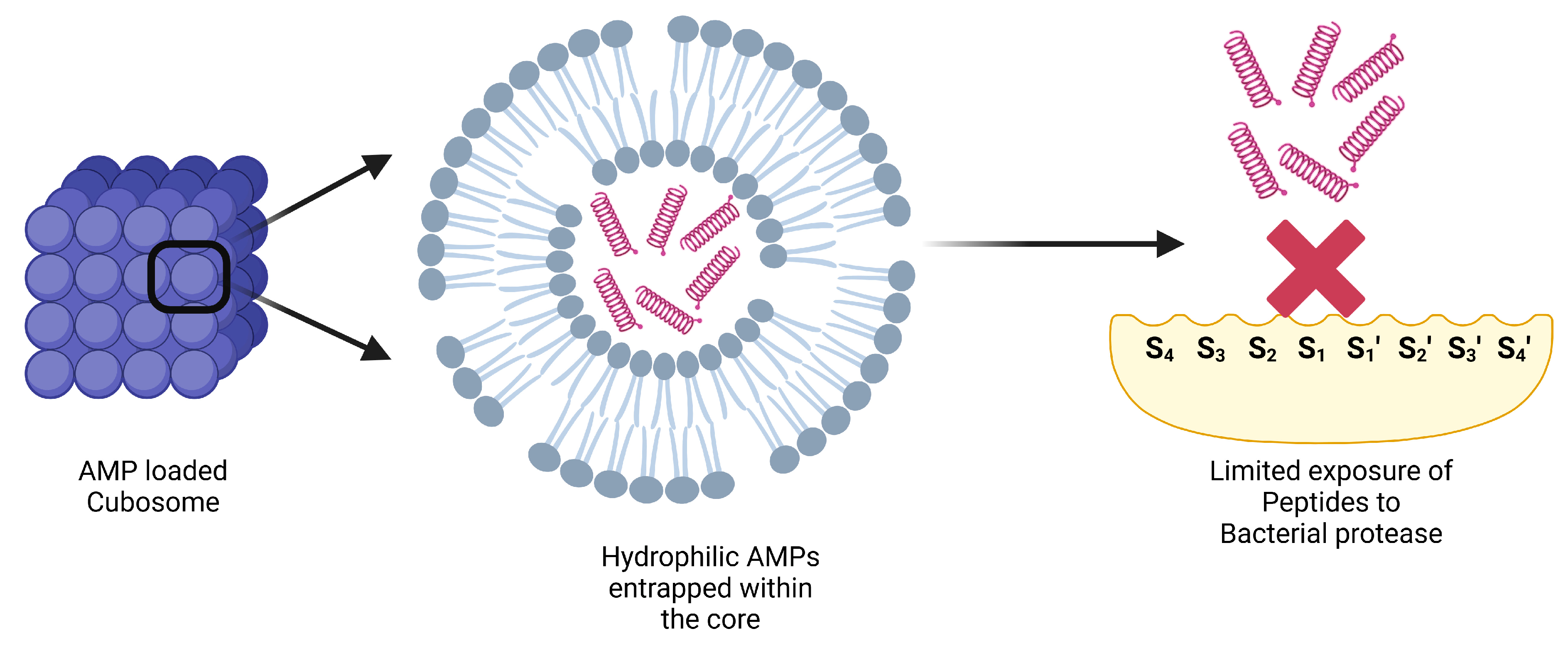 Antibiotics 14 00379 g004