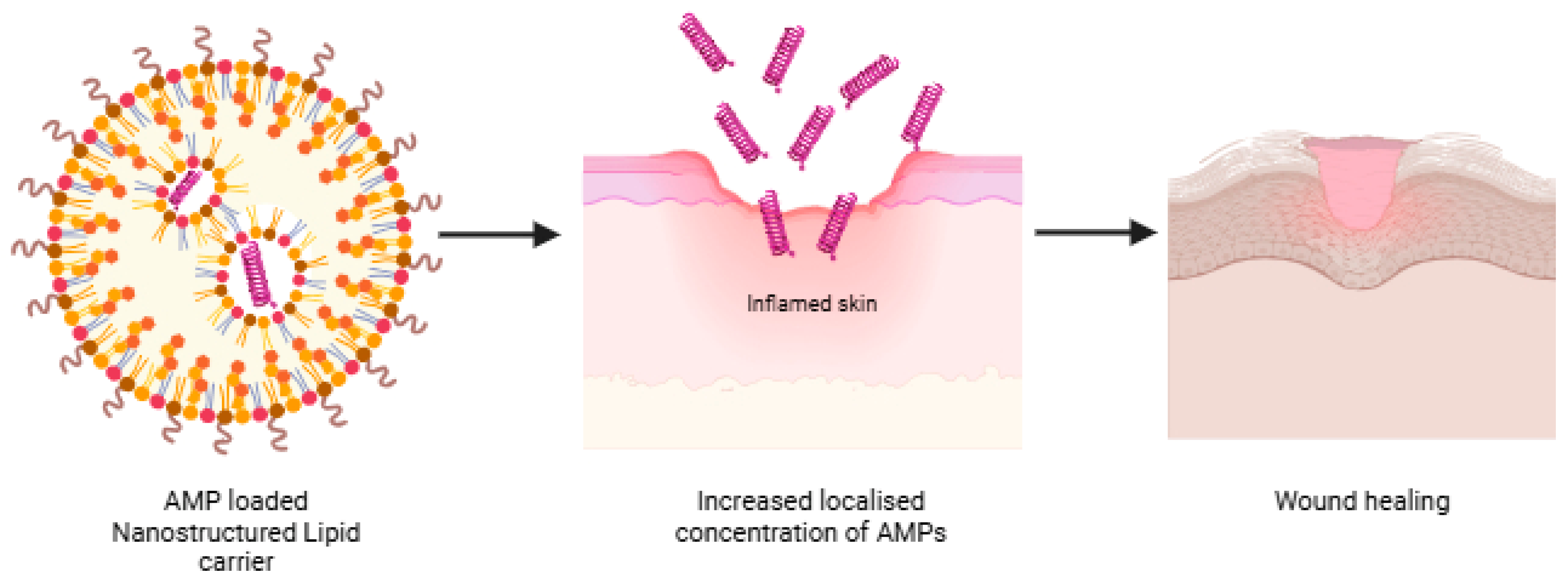 Antibiotics 14 00379 g005