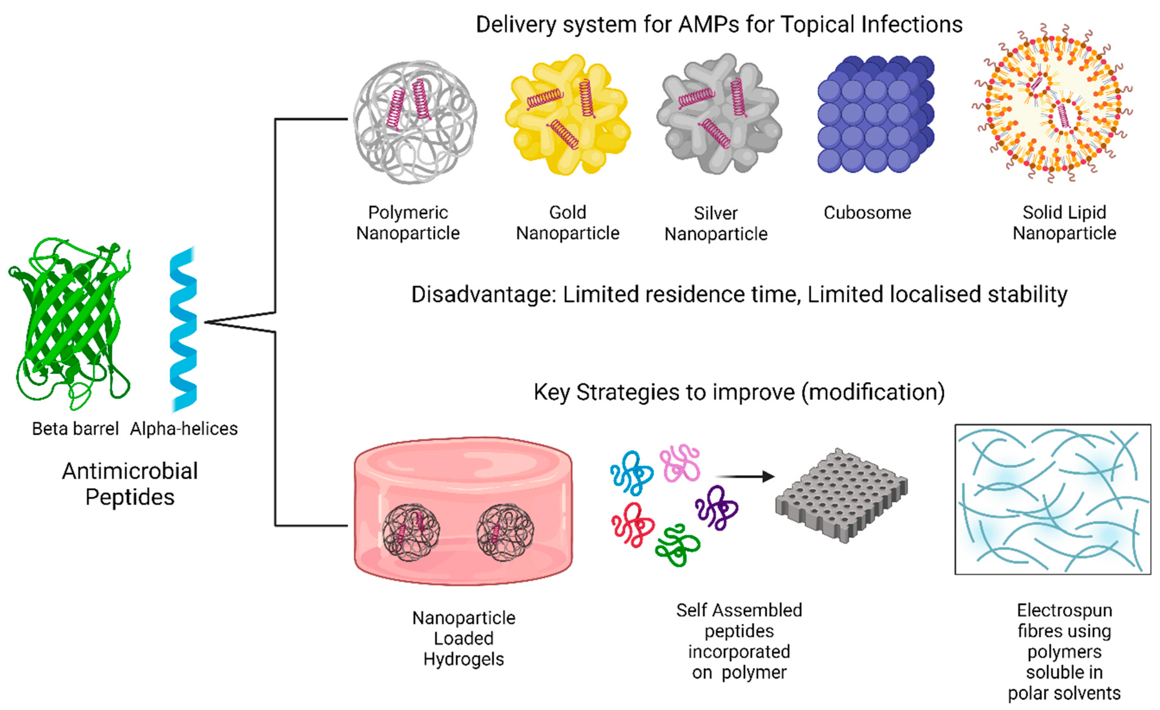 Antibiotics 14 00379 g006