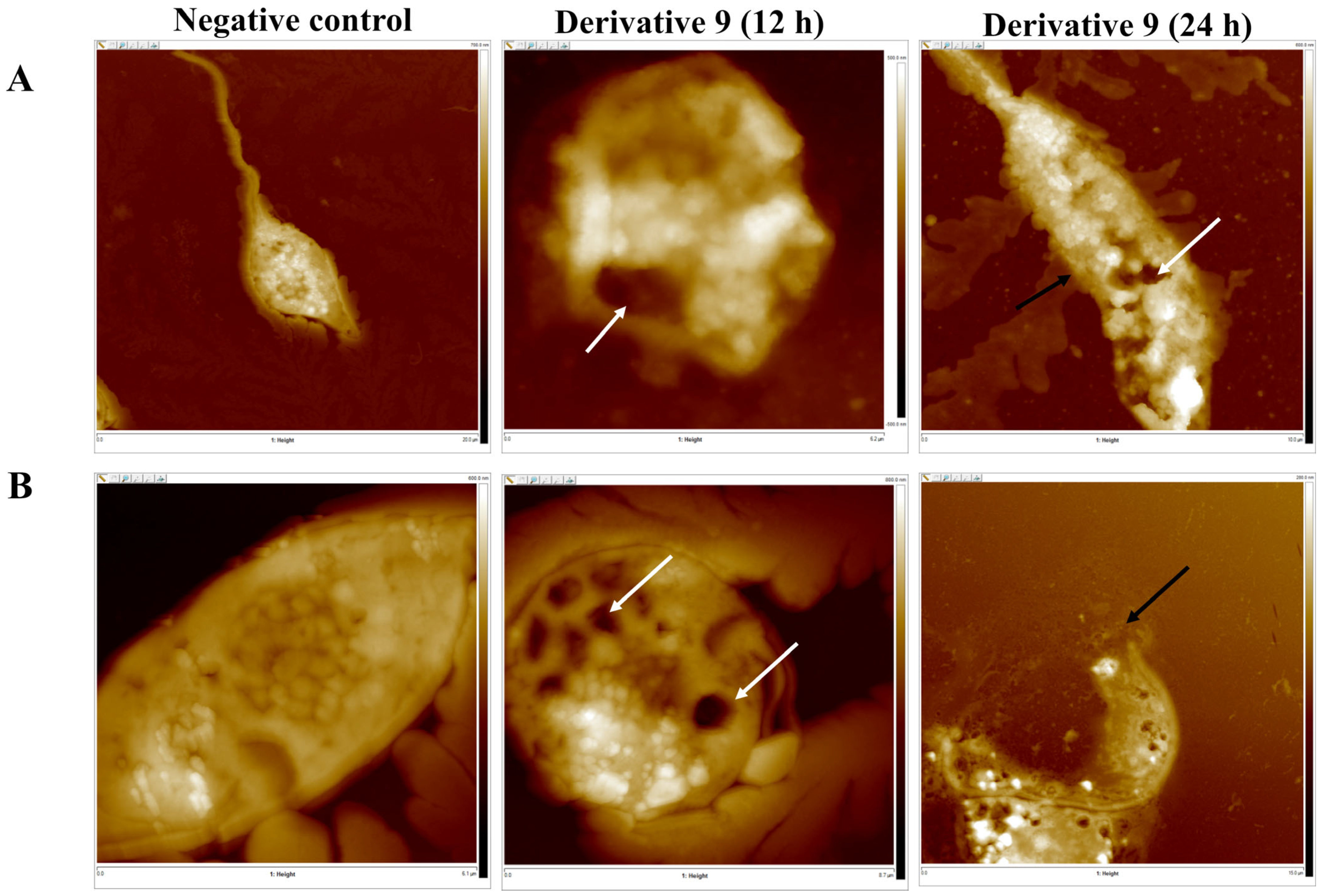 Antibiotics 14 00383 g009