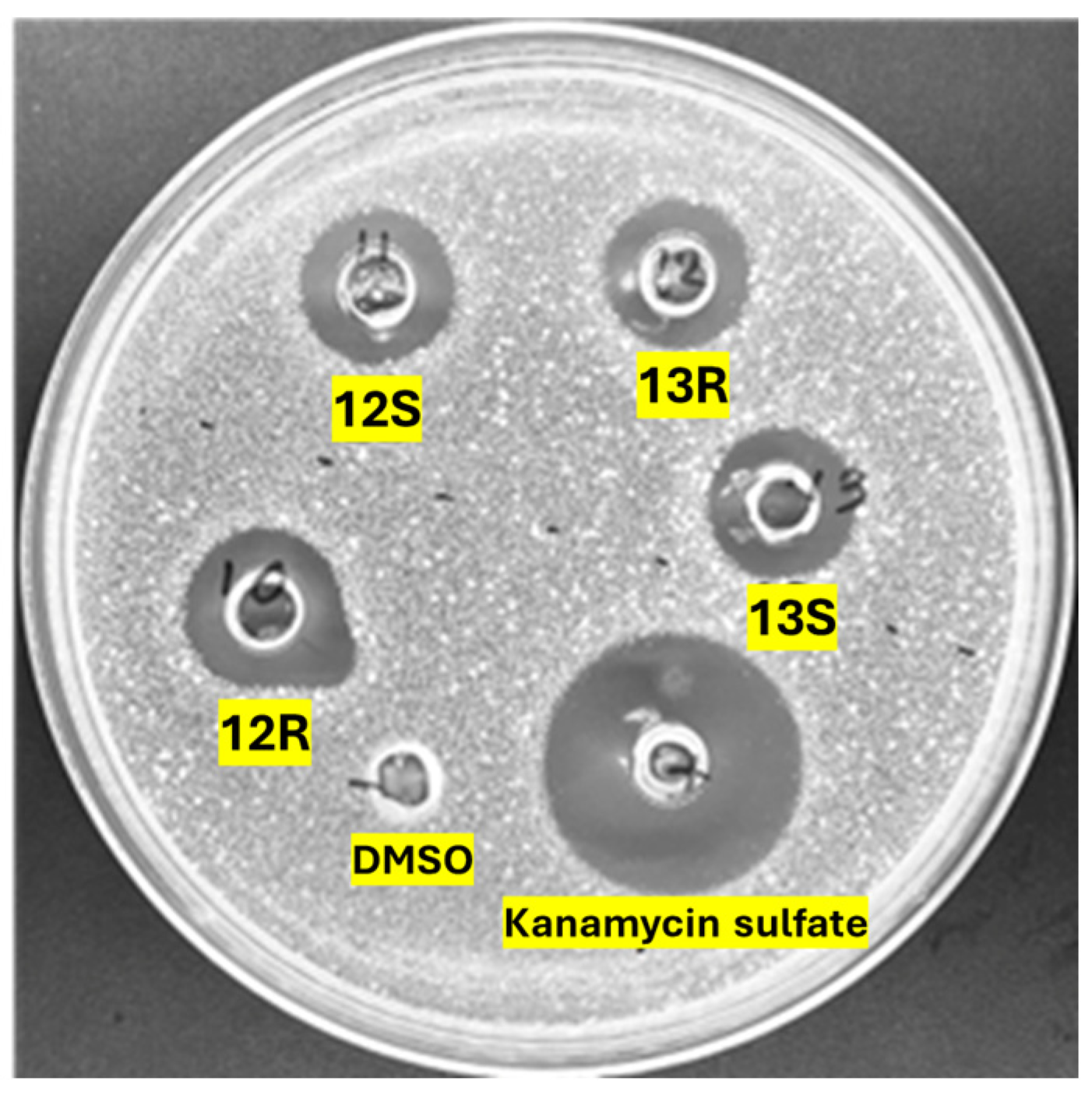 Antibiotics 14 00385 g001