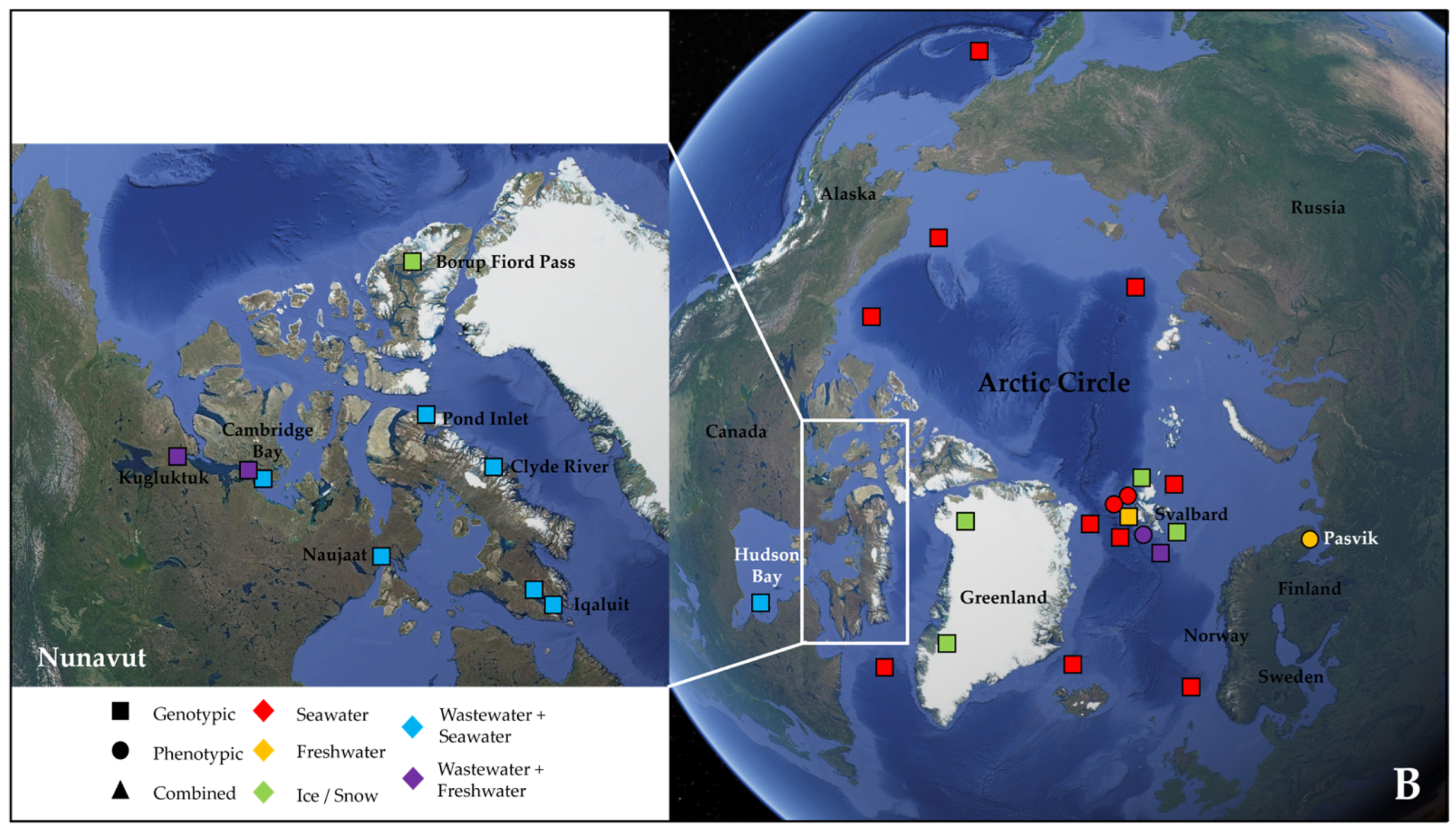 Antibiotics 14 00394 g001b