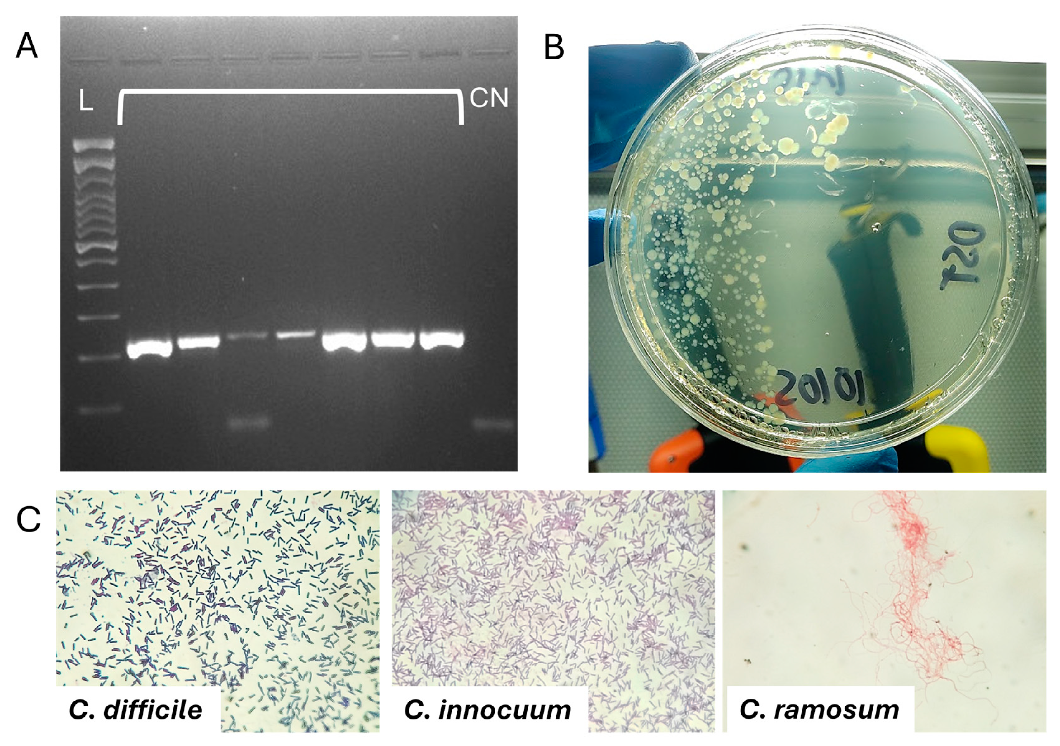 Antibiotics 14 00397 g001