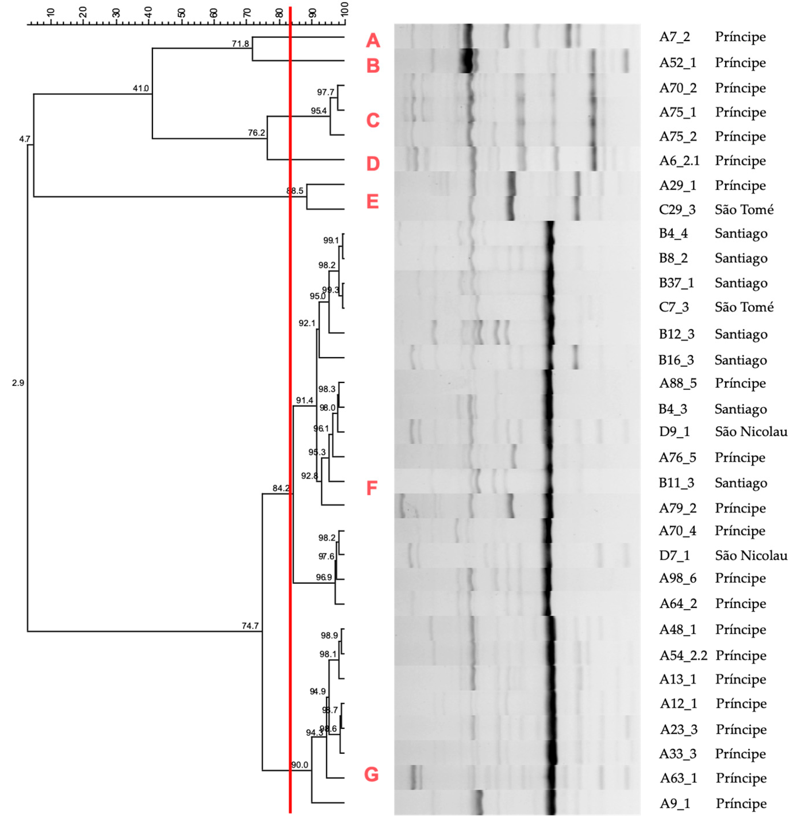 Antibiotics 14 00408 g003