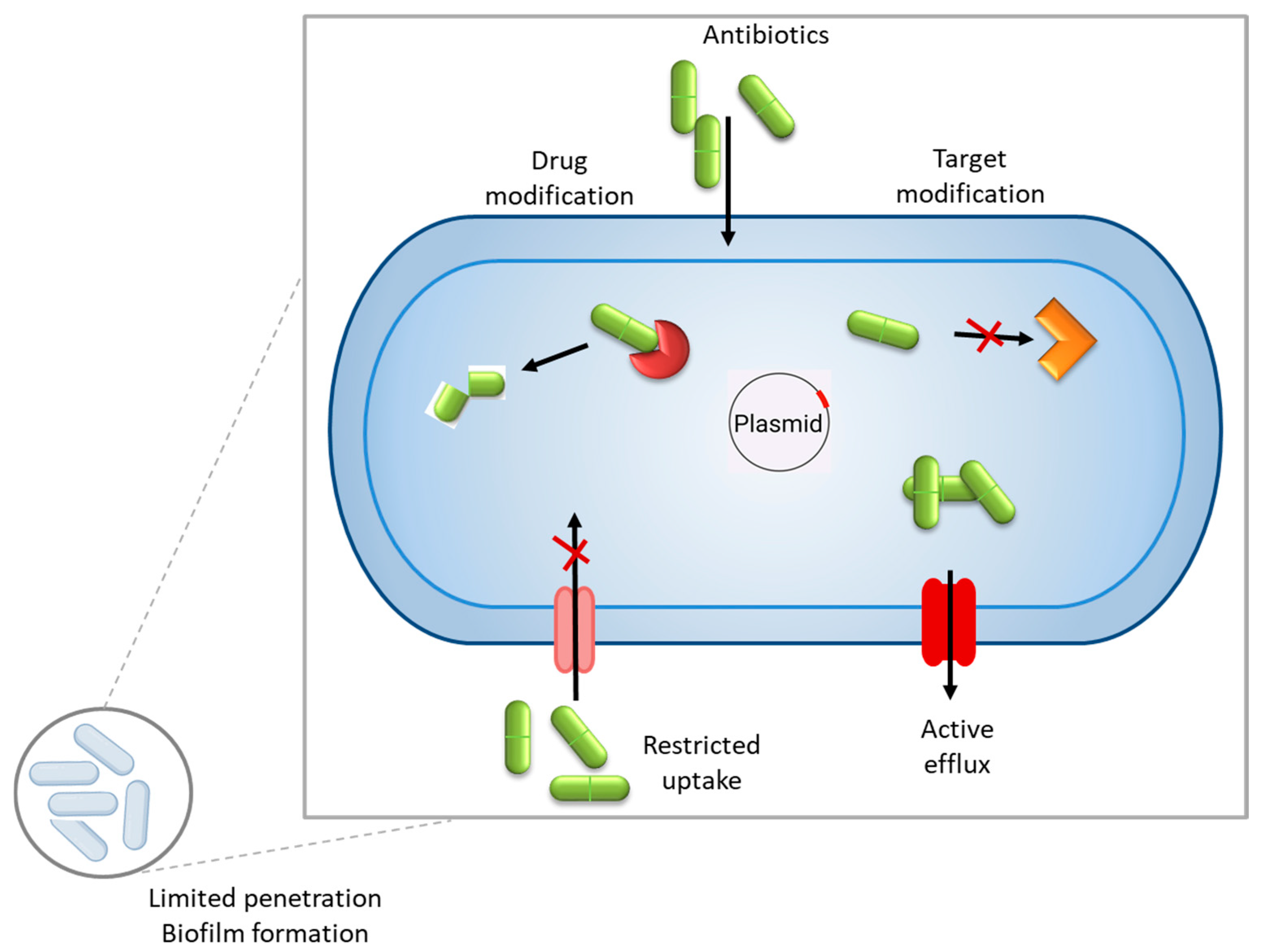 Antibiotics 14 00414 g001