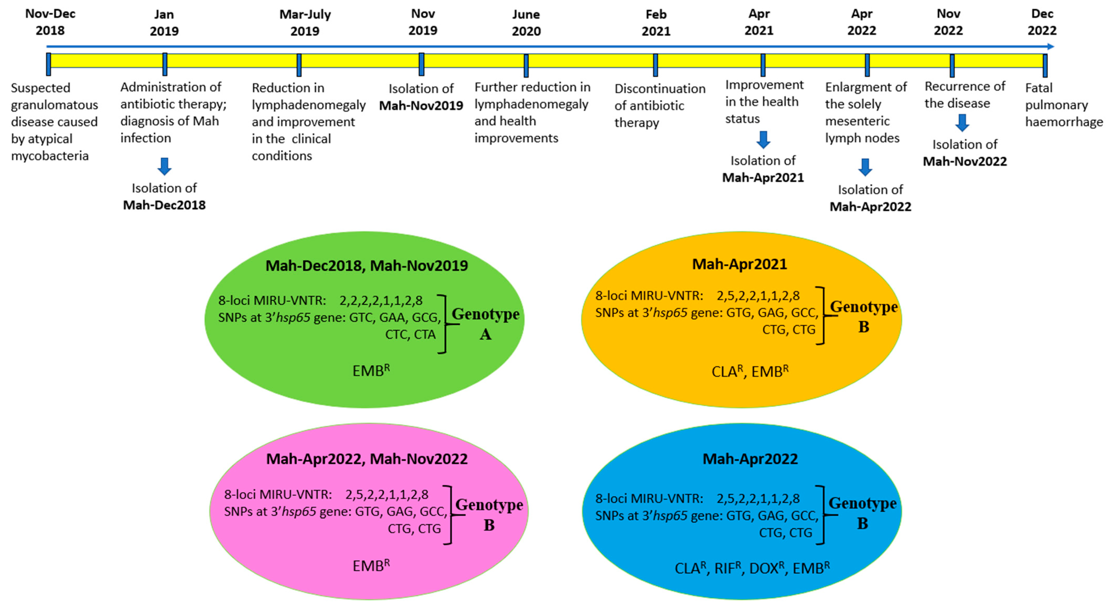 Antibiotics 14 00416 g005