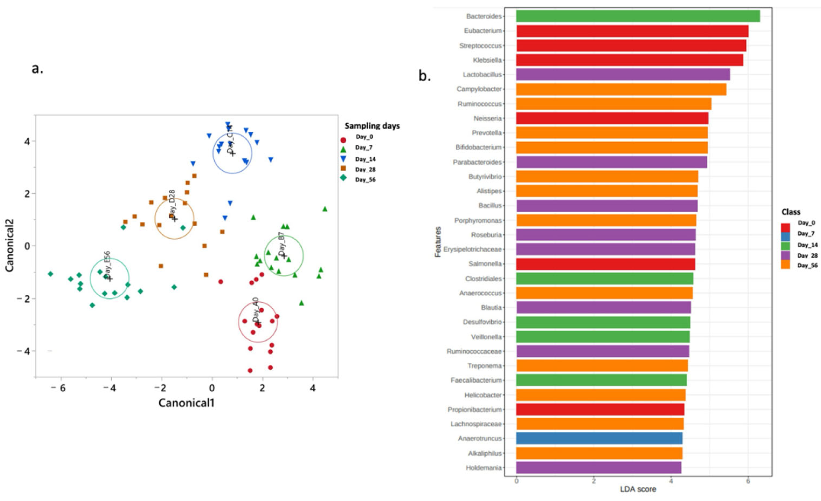 Antibiotics 14 00434 g007