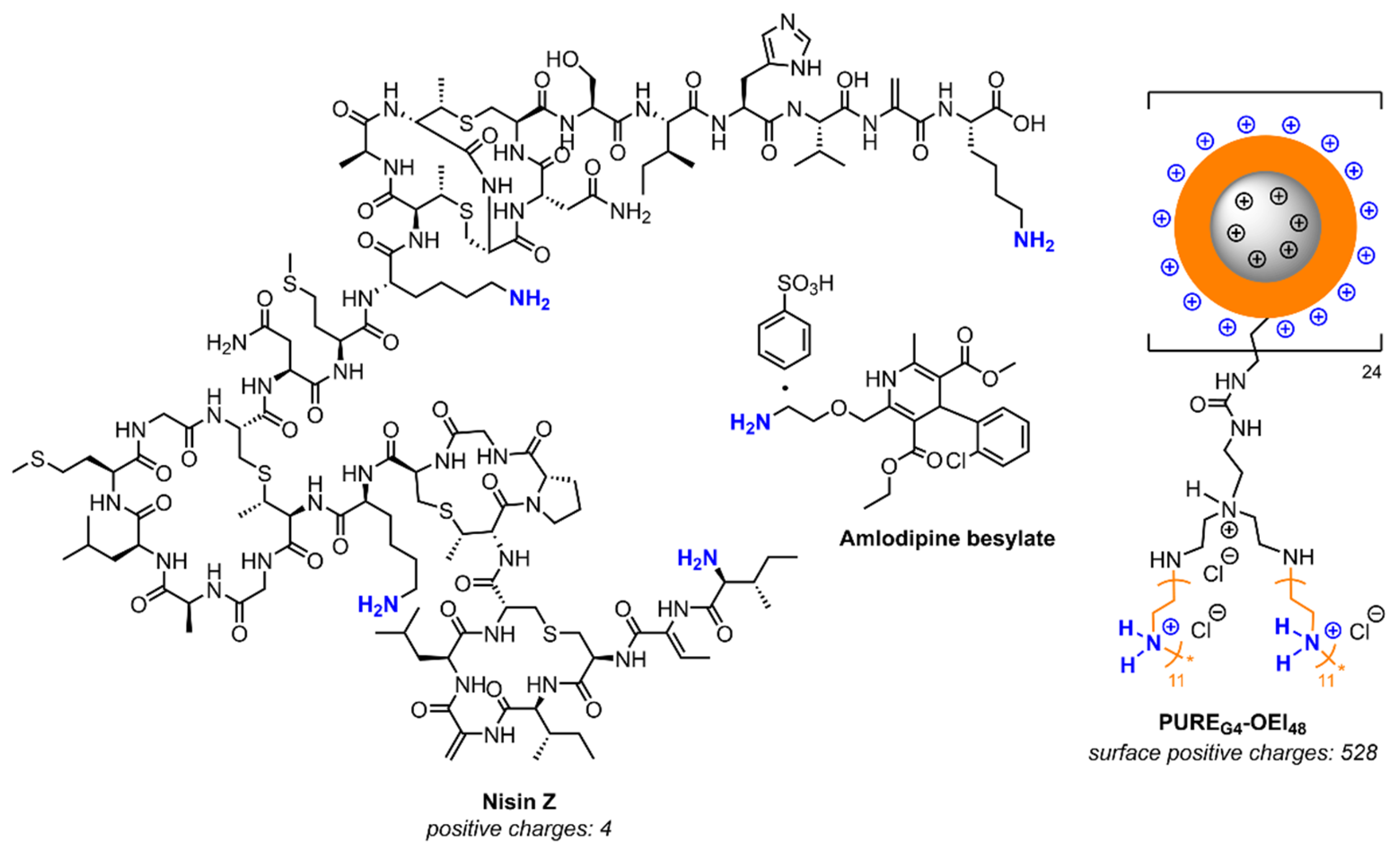 Antibiotics 14 00444 g005