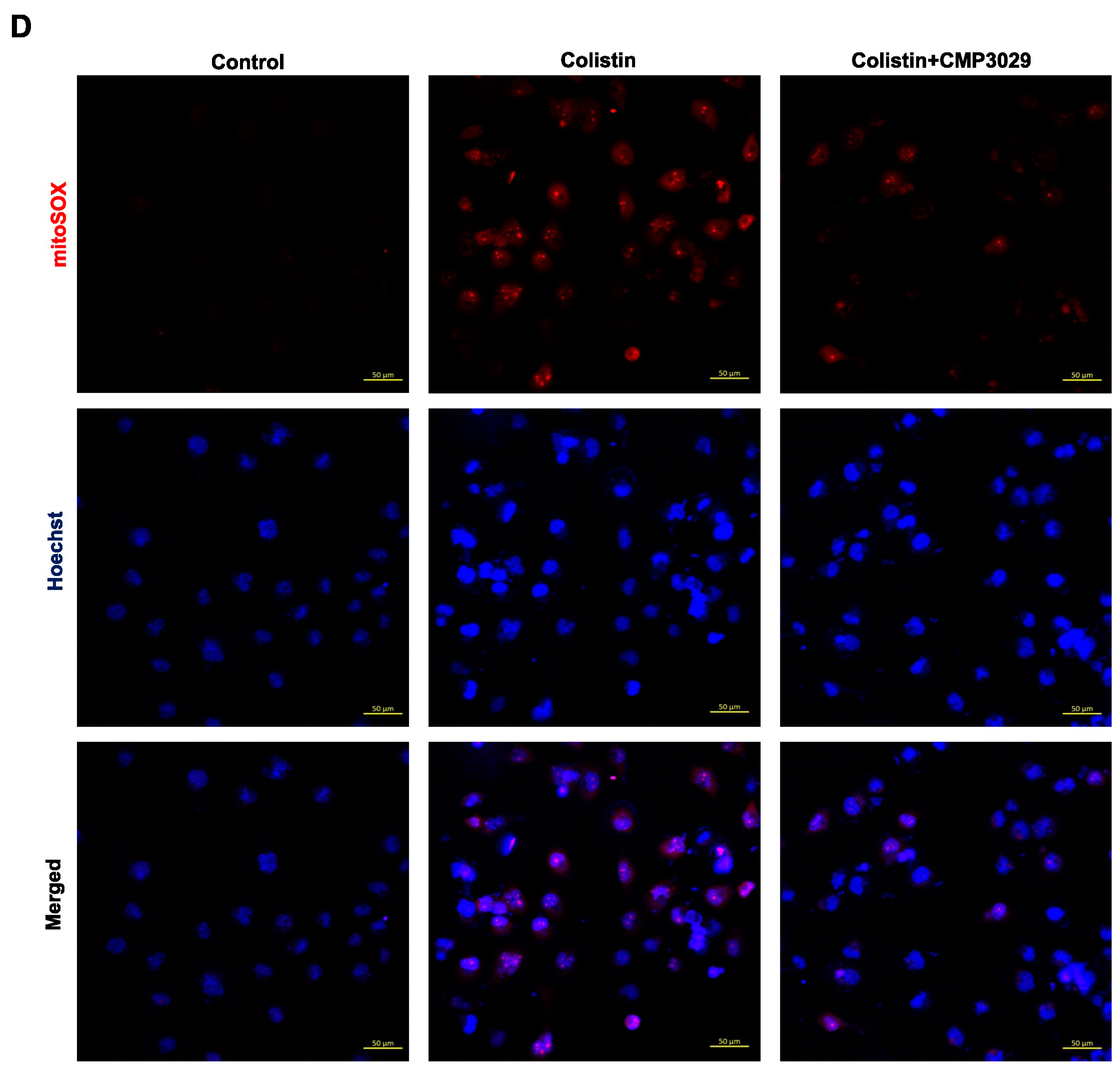 Antibiotics 14 00445 g001b