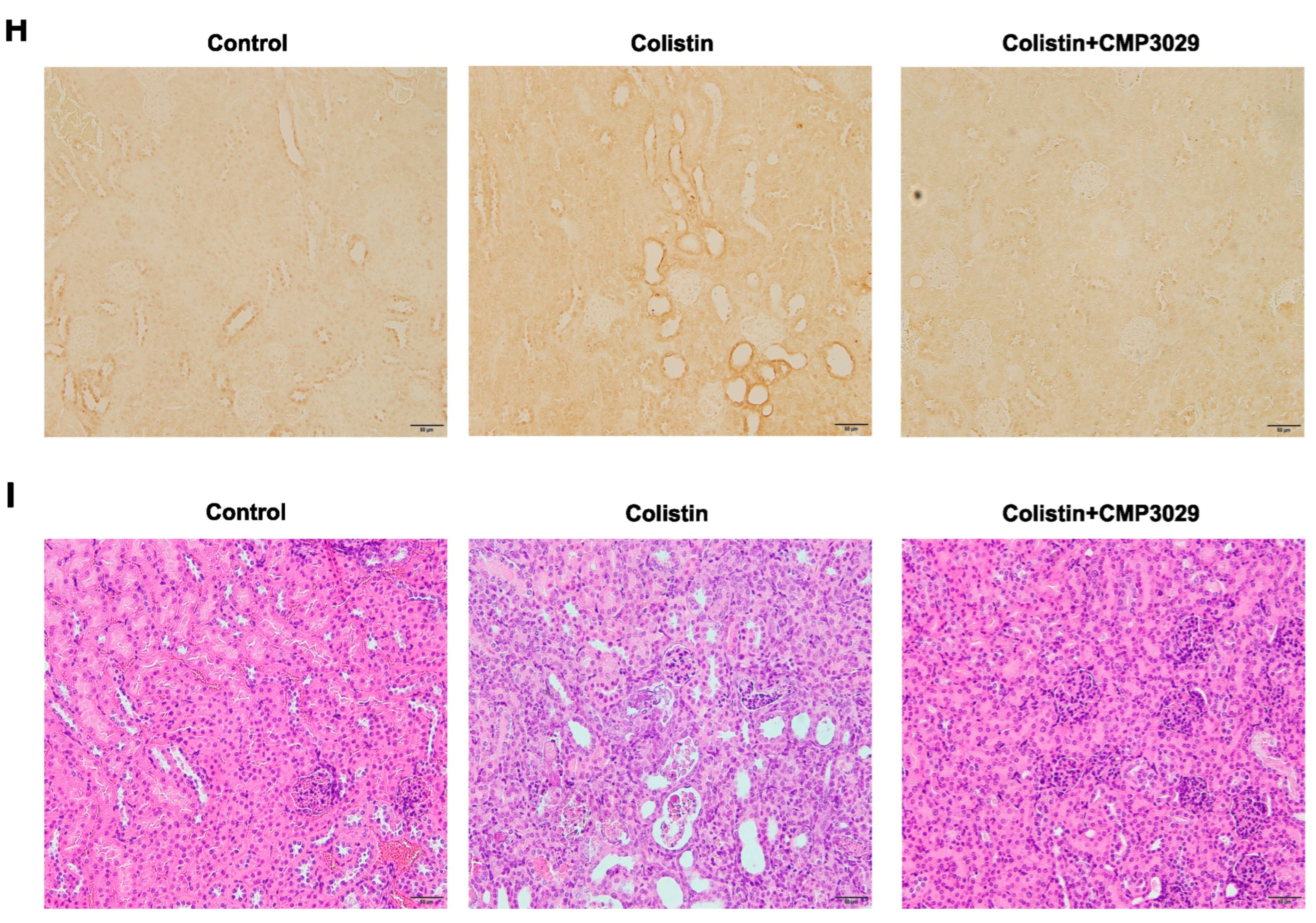 Antibiotics 14 00445 g002b