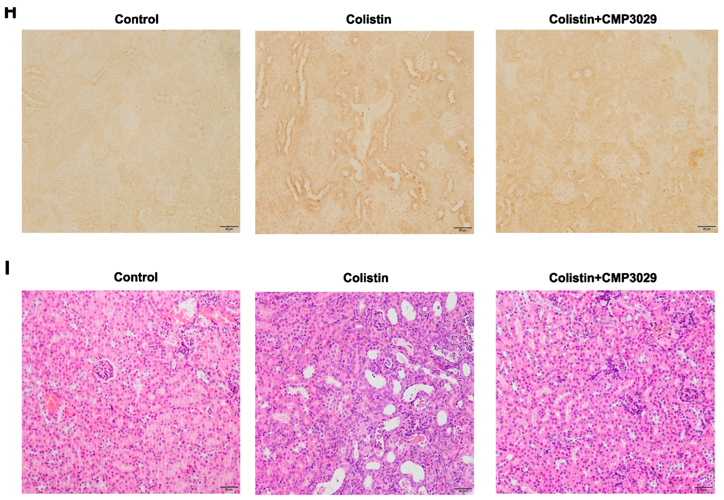 Antibiotics 14 00445 g003b